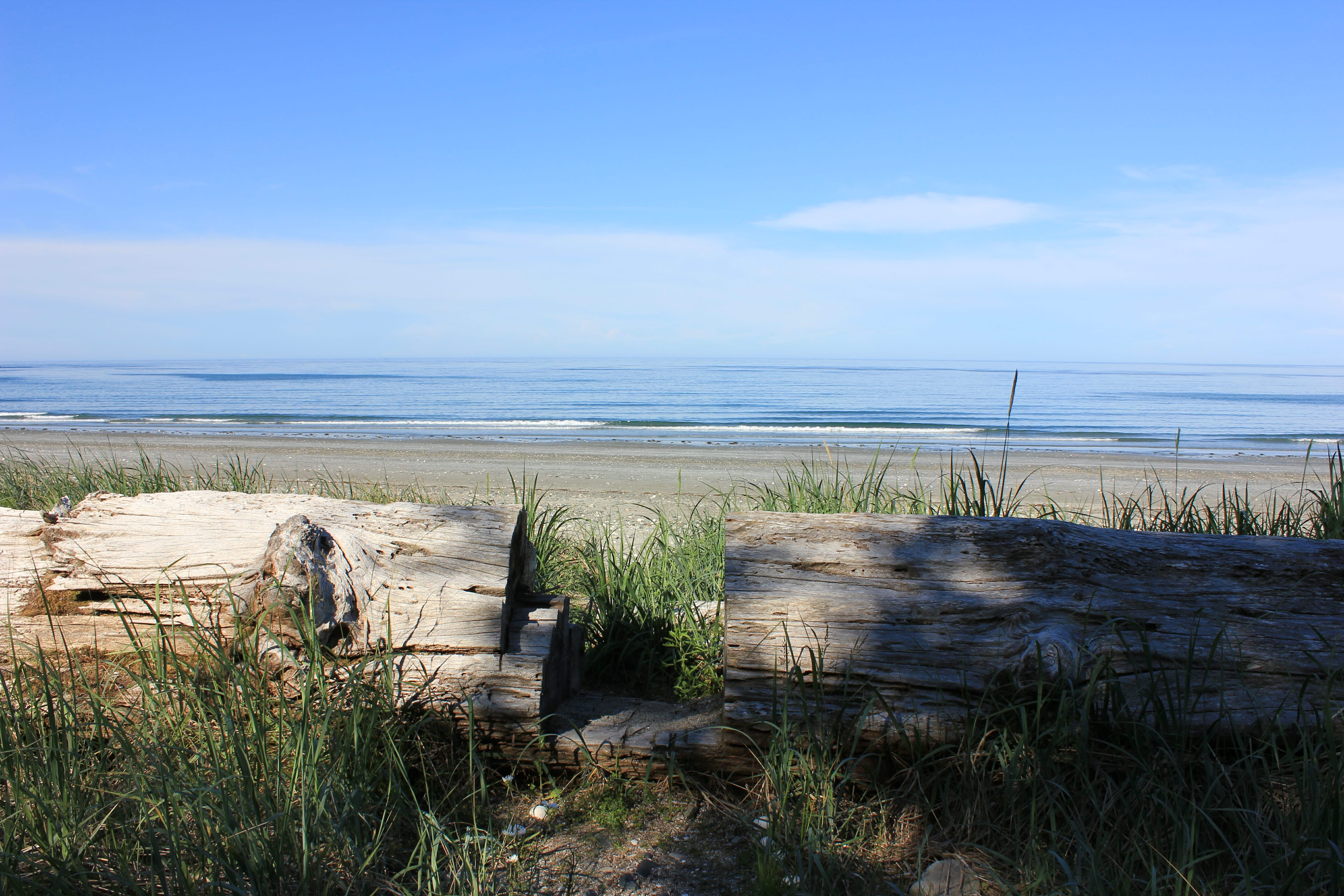 image of Gray Bay, Haida Gwaii