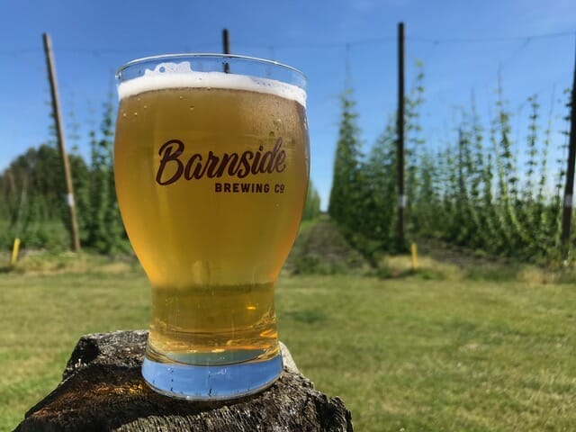 Barnside Brewing on the BC Ale Trail