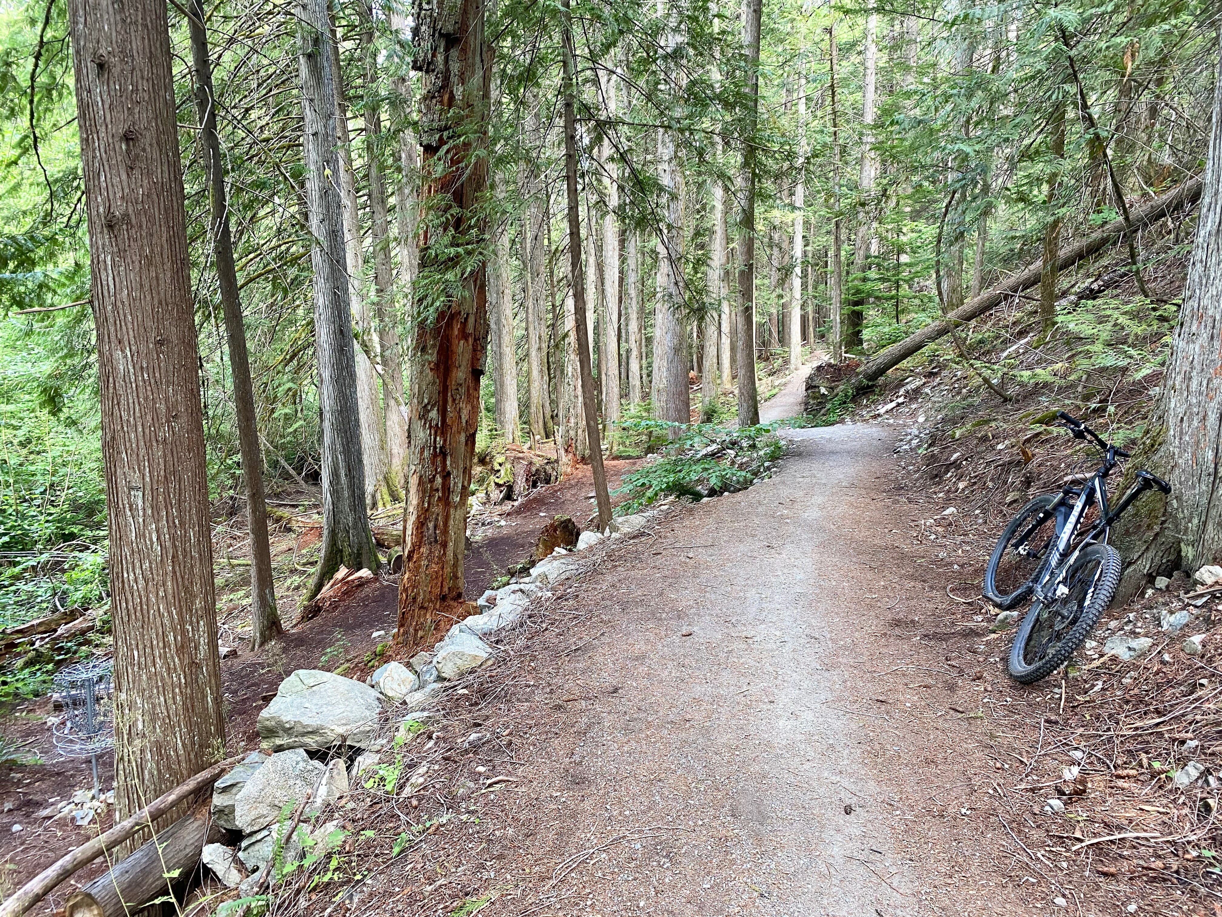 The Sea To Sky Trail near Pemberton, BC
