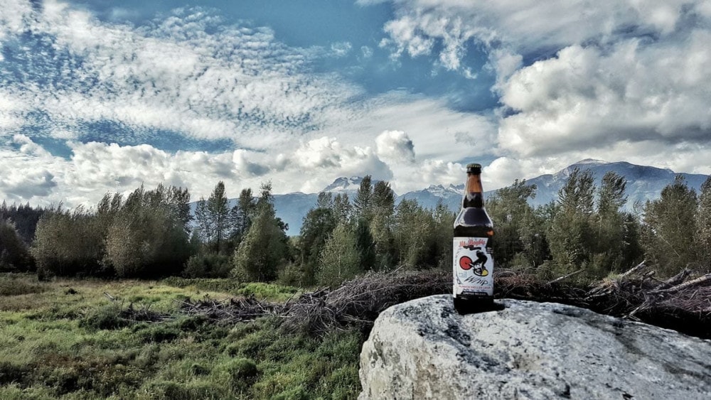 Personal Ale Trail Mount Begbie Landscape