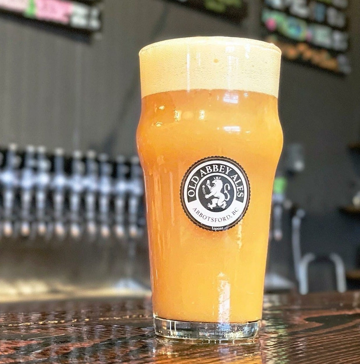 a pint of beer at Old Abby Ales