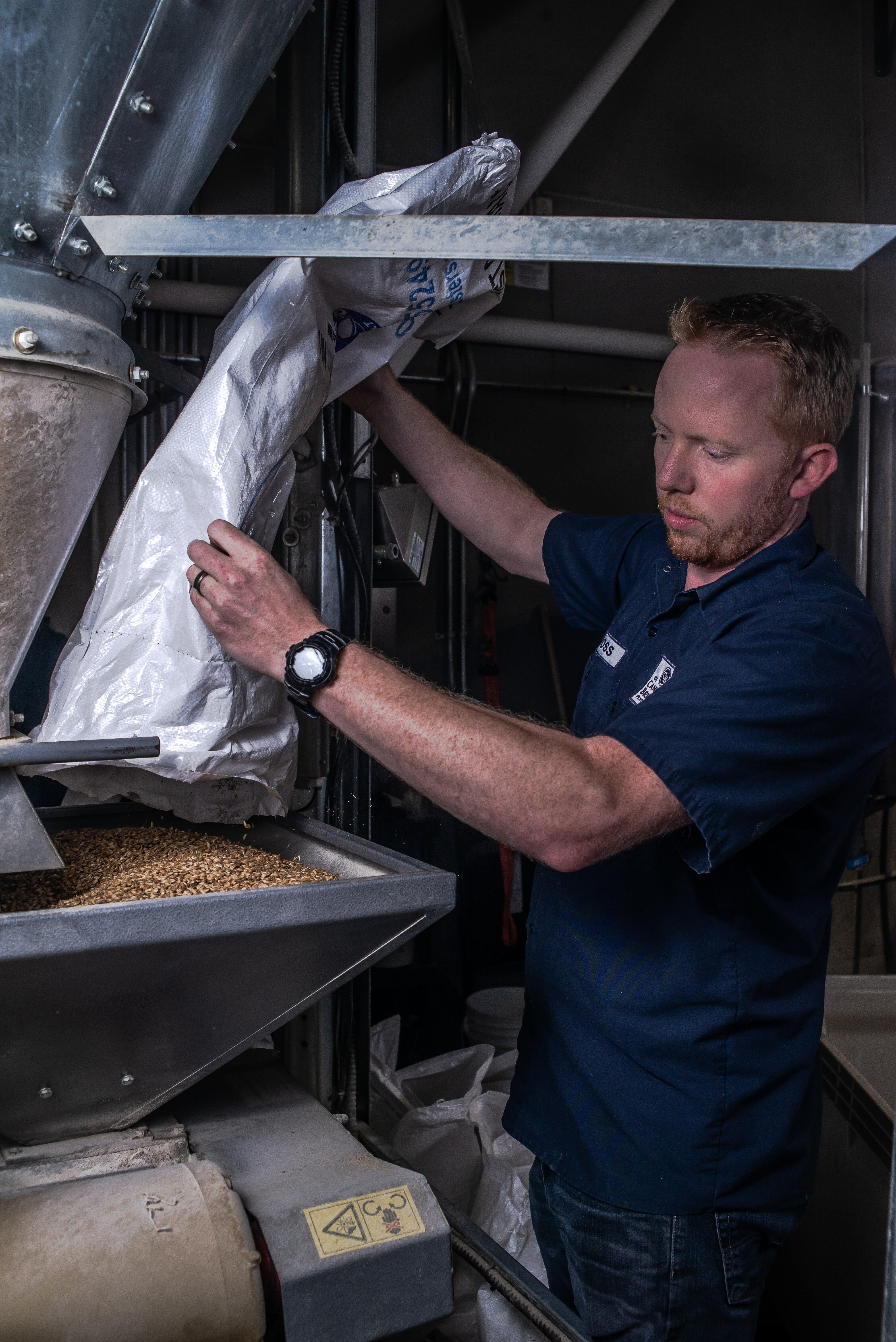 man pouring grains into mash tun for Penticton collaboration beer during BC Craft Beer Month