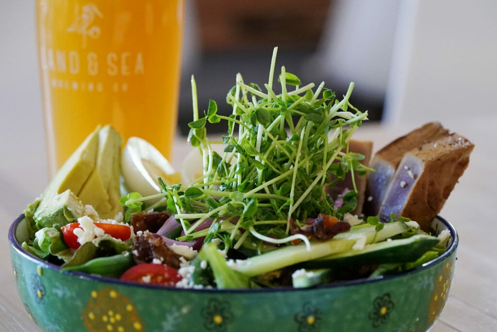 image of fresh salad bowl with pint of Land & Sea beer in background