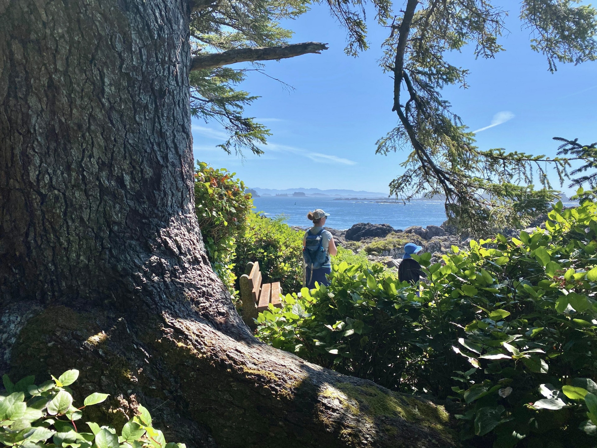 The Wild Pacific Trail in Ucluelet BC Ale Trail West Coast