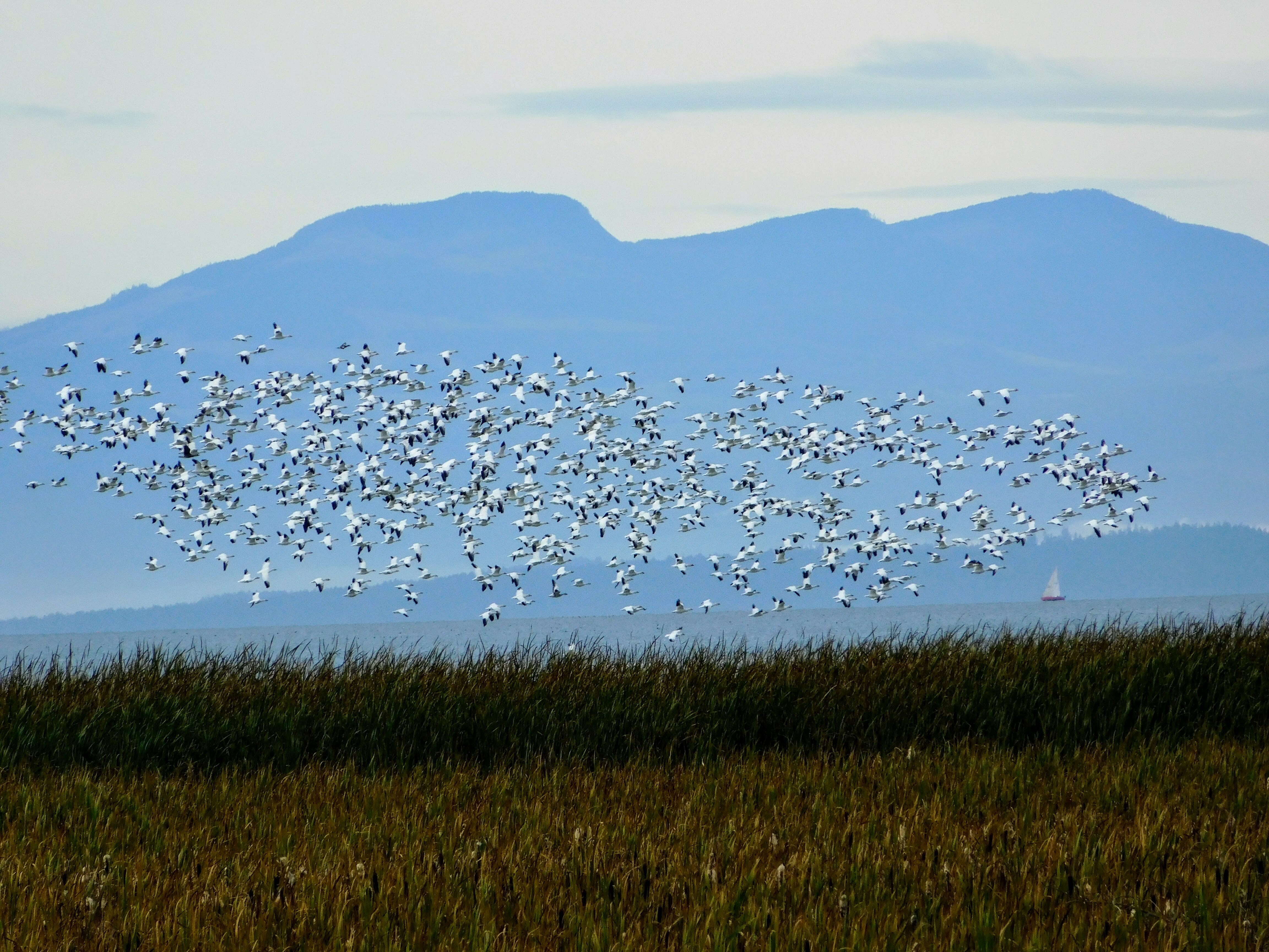 Birds, Bikes, and Beer on the BC Ale Trail
