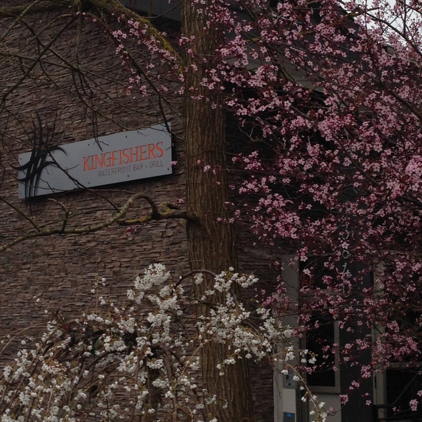 Kingfishers Waterfront Bar & Grill, Maple Ridge, BC