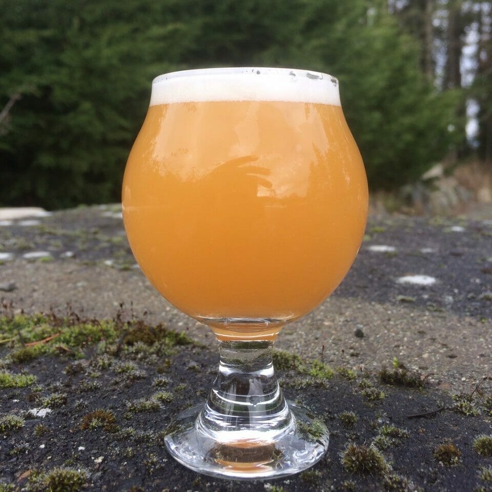 Howl Brewing - supplied photo - BC Ale Trail