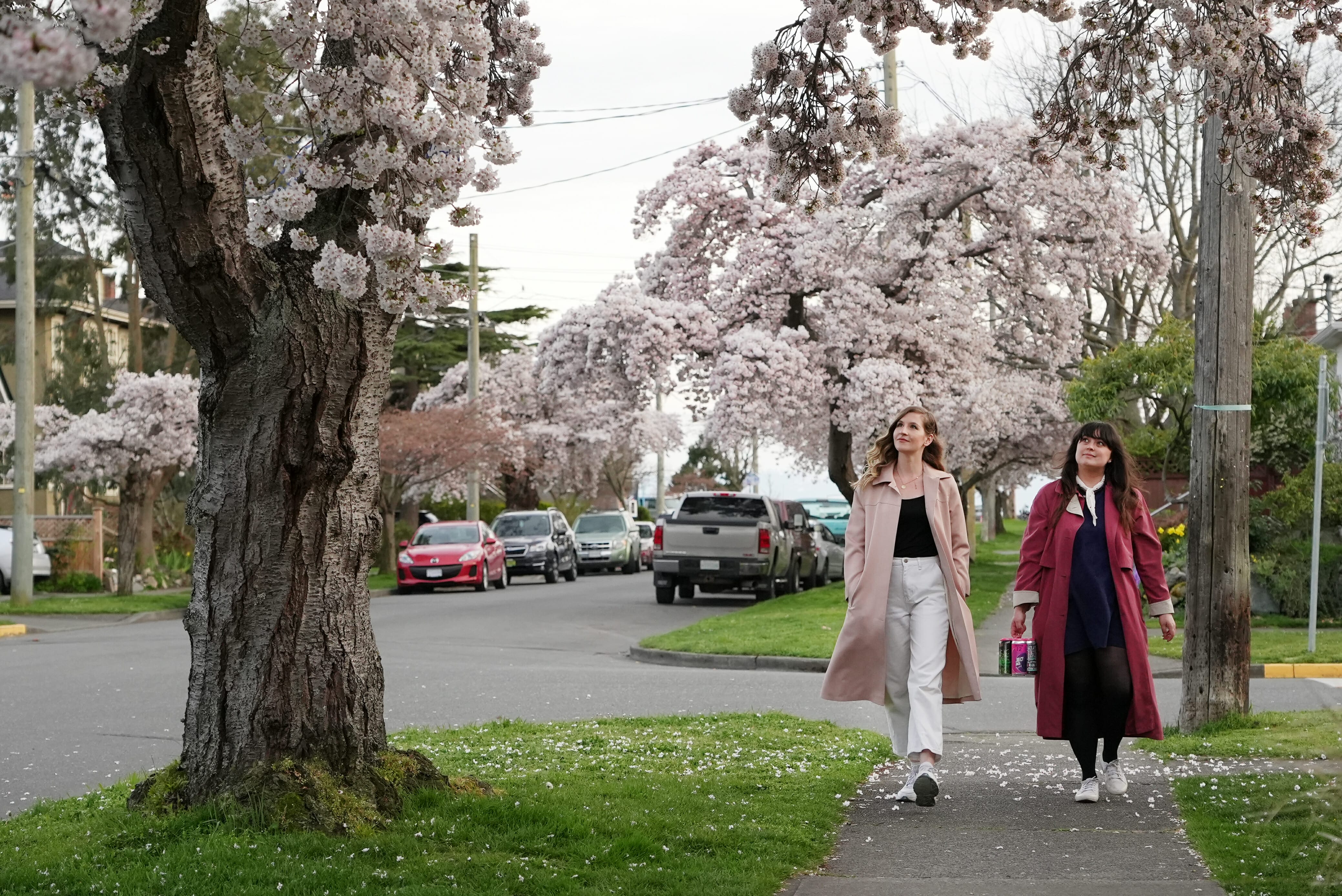 Seven Ways to Support Your Local Breweries During the Pandemic