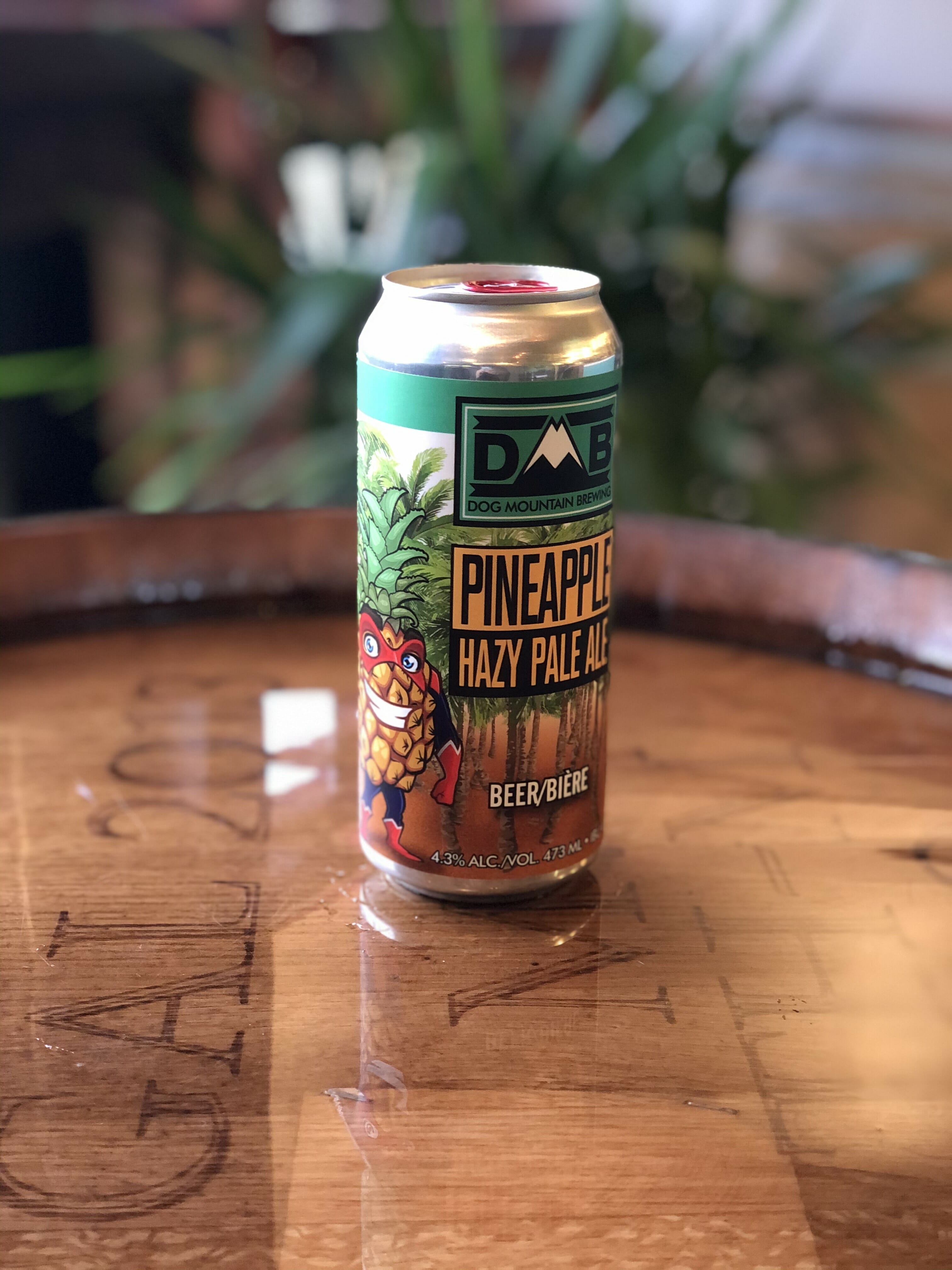 Pineapple Hazy Pale Ale - Dog Mountain Brewing