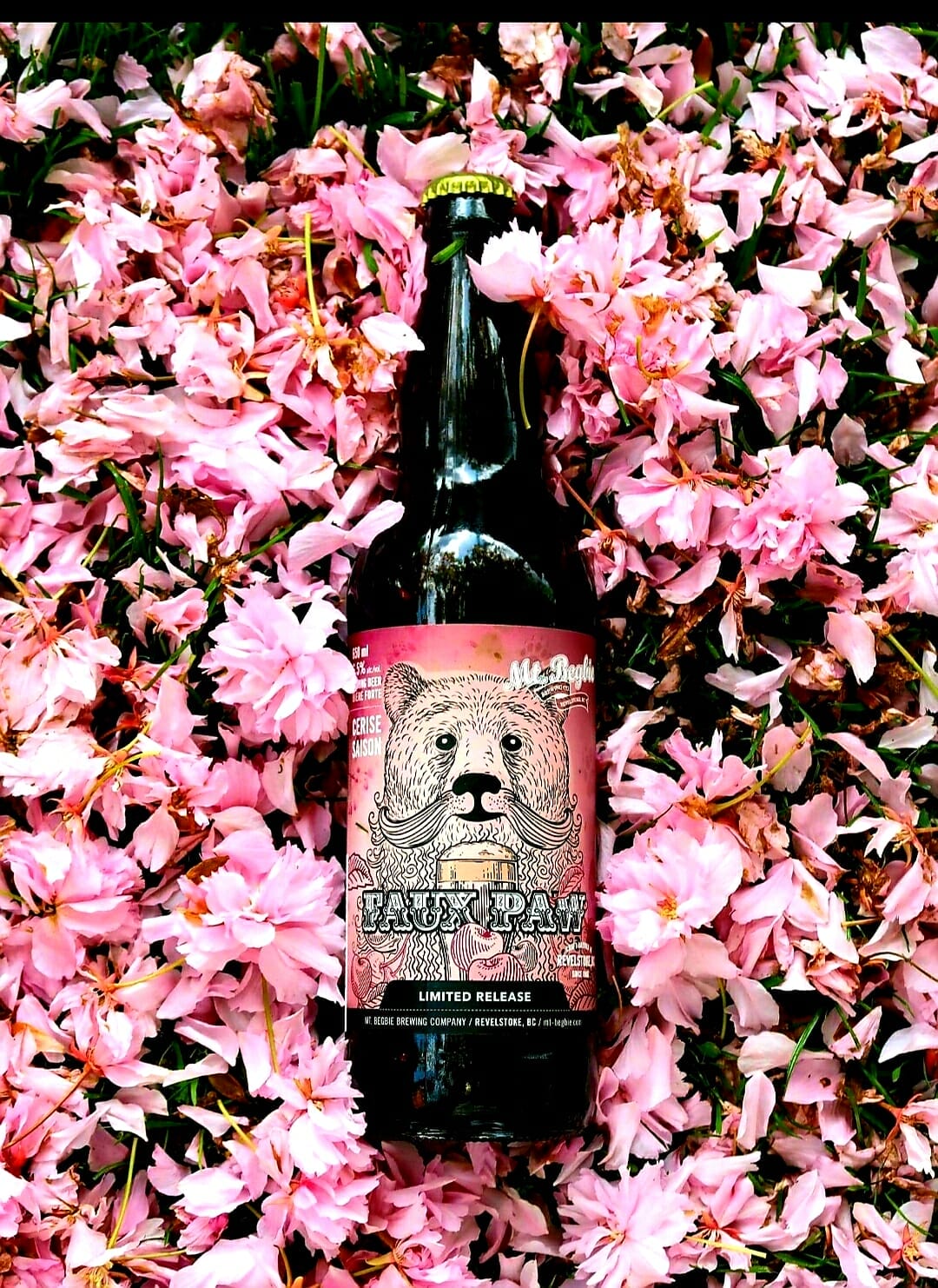 Faux Paw Cherry Saison - Mt Begbie Brewing