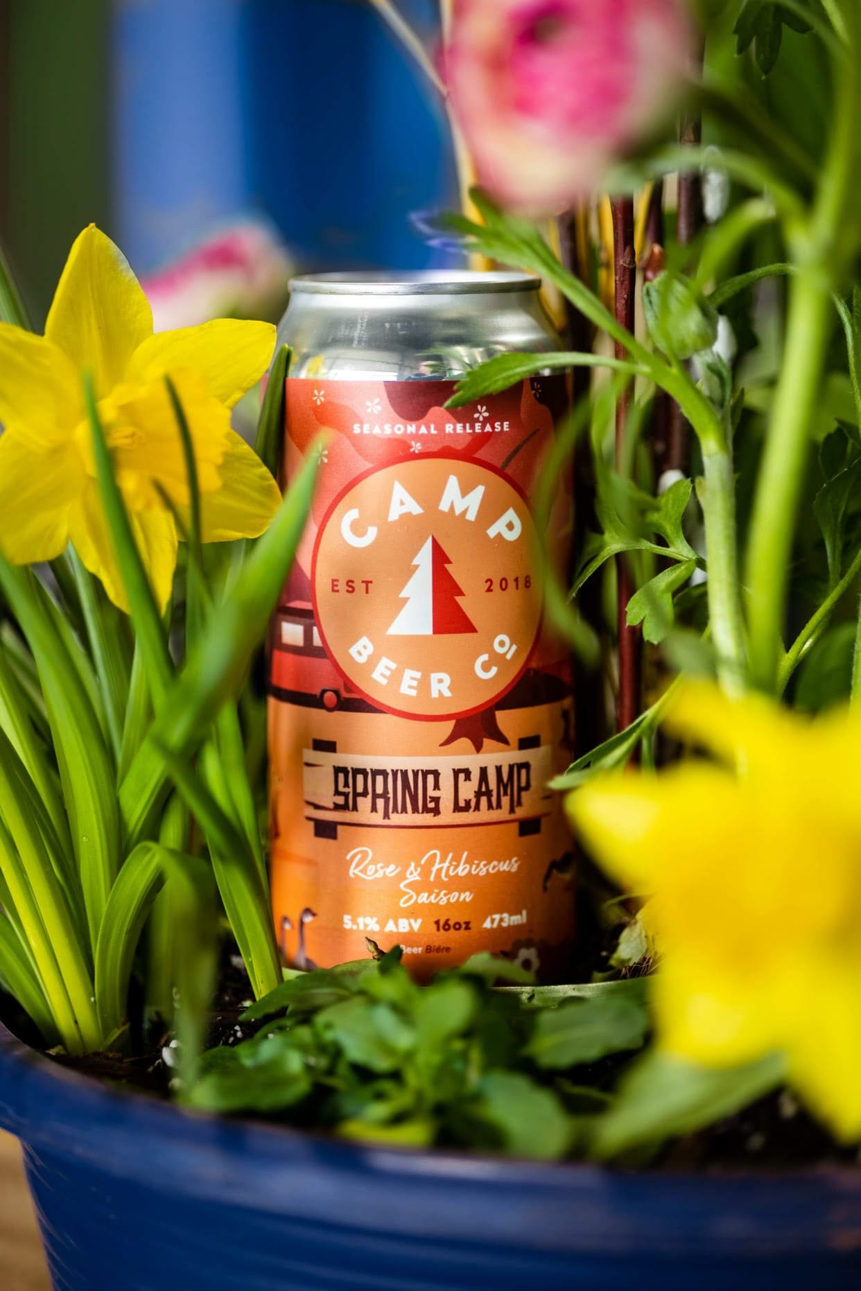 spring beer releases Camp Beer Co - Spring Camp