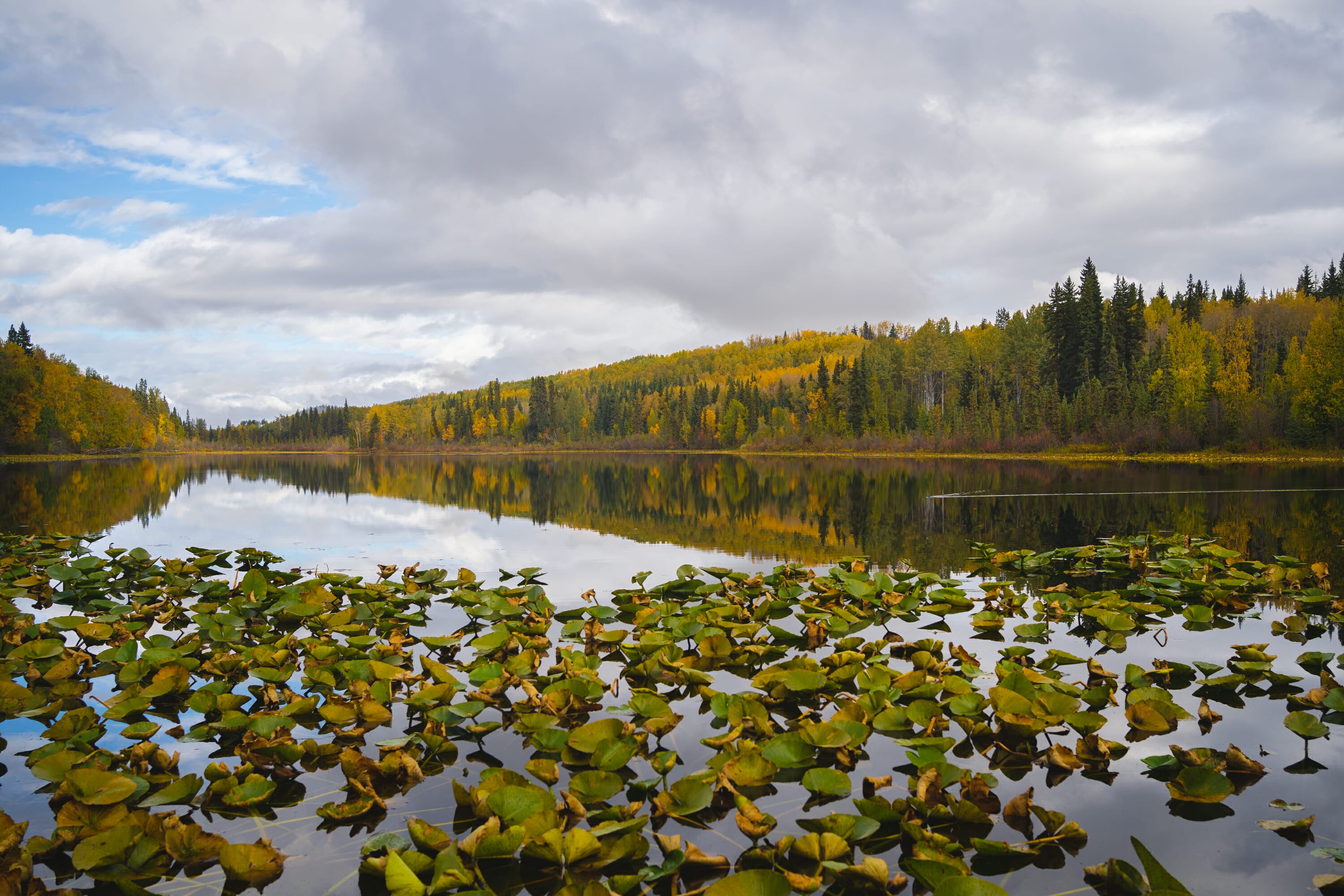 Call Lake, Smithers BC