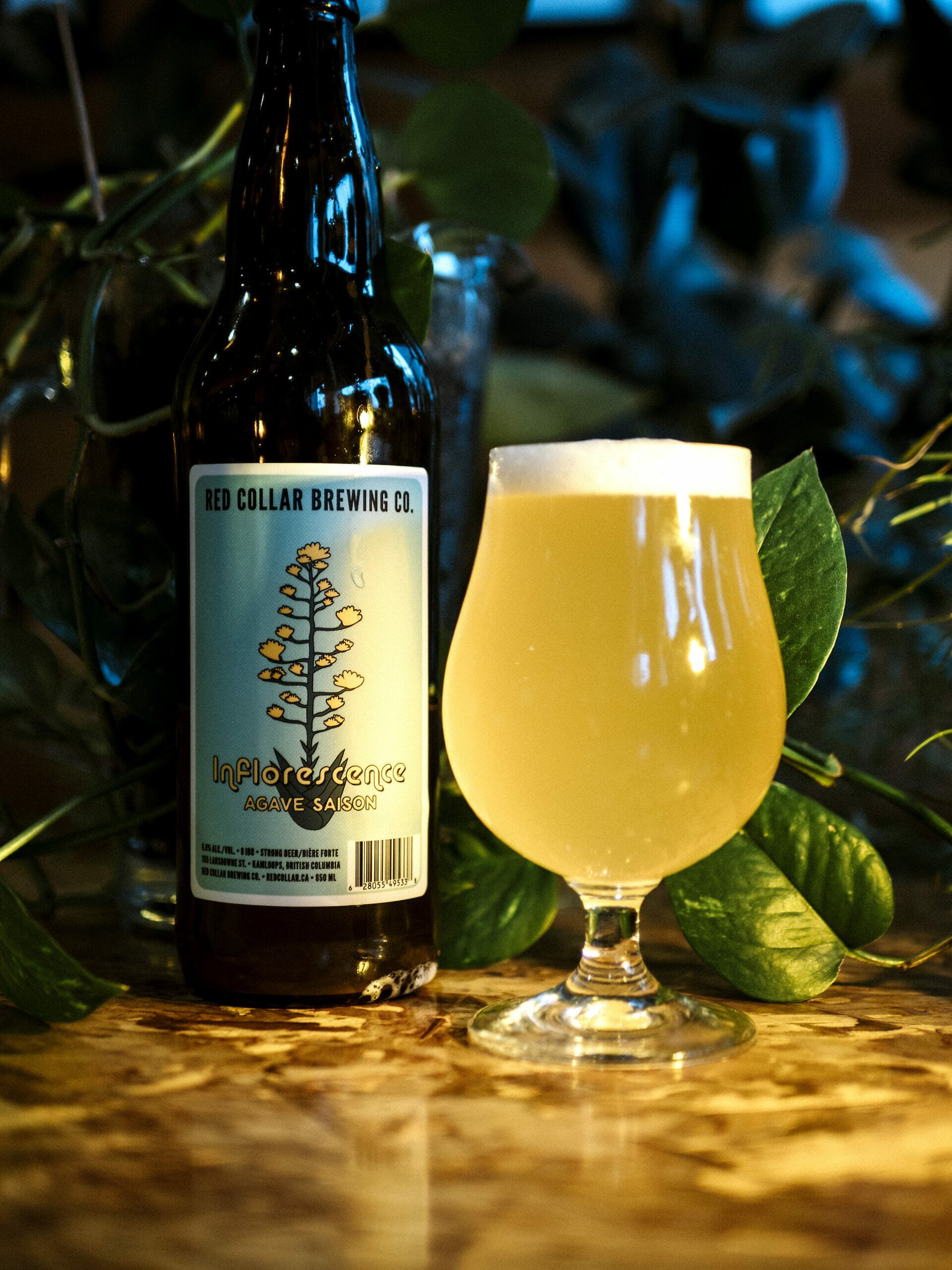 Inflorescence Agave Saison - Red Collar Brewing