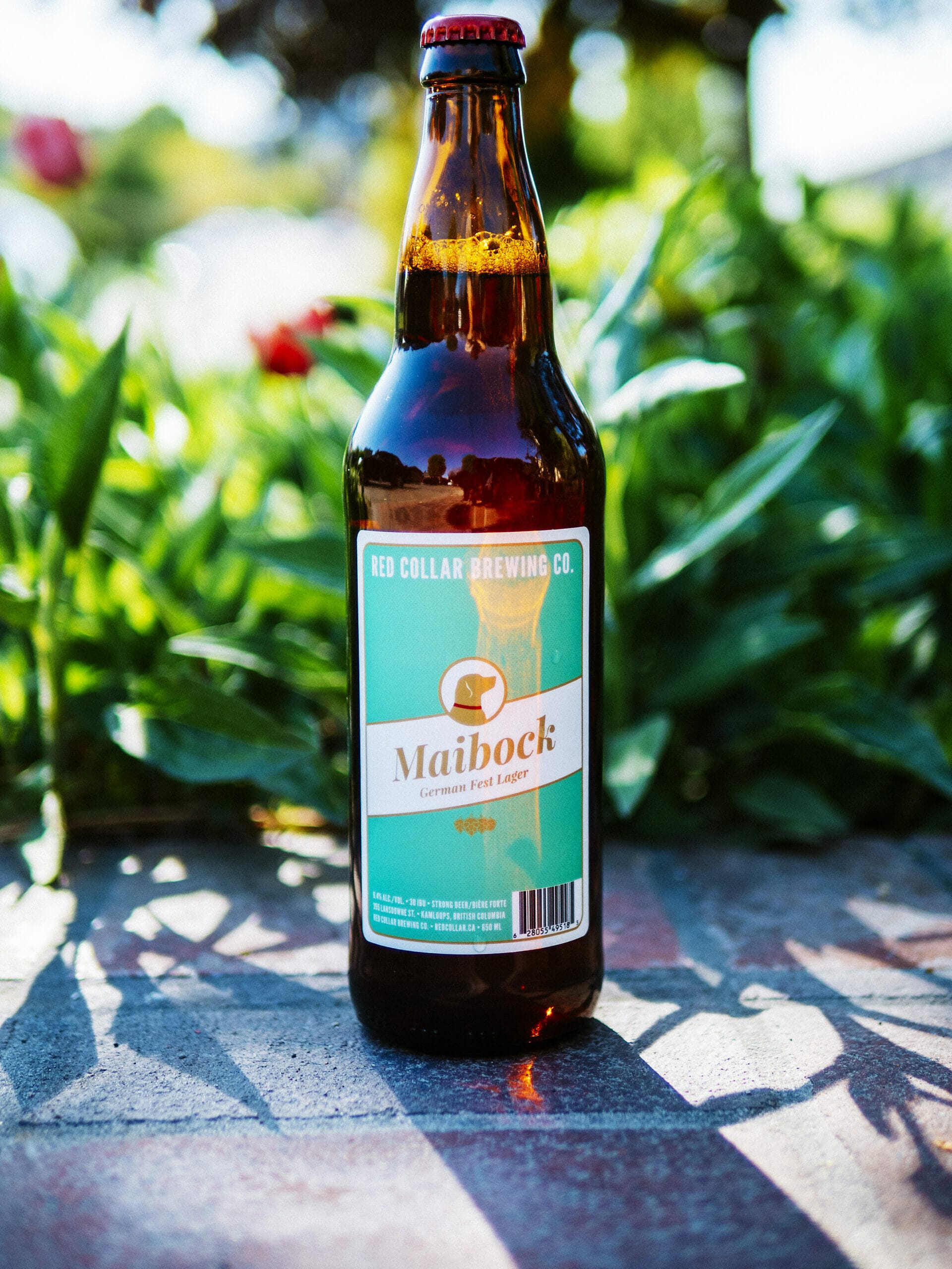 Maibock - Red Collar Brewing