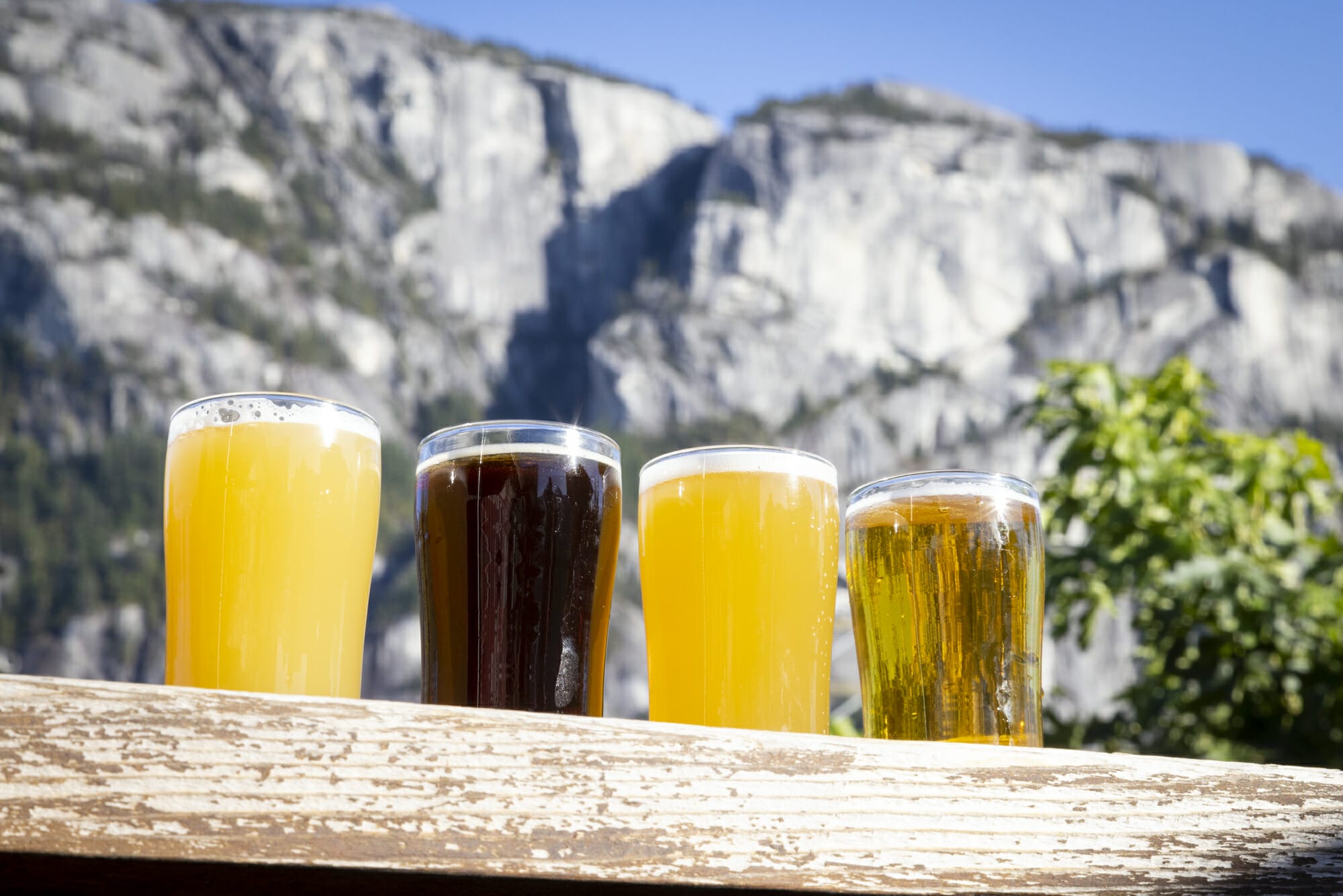 Mountain Biking and Craft Beer: Squamish, BC