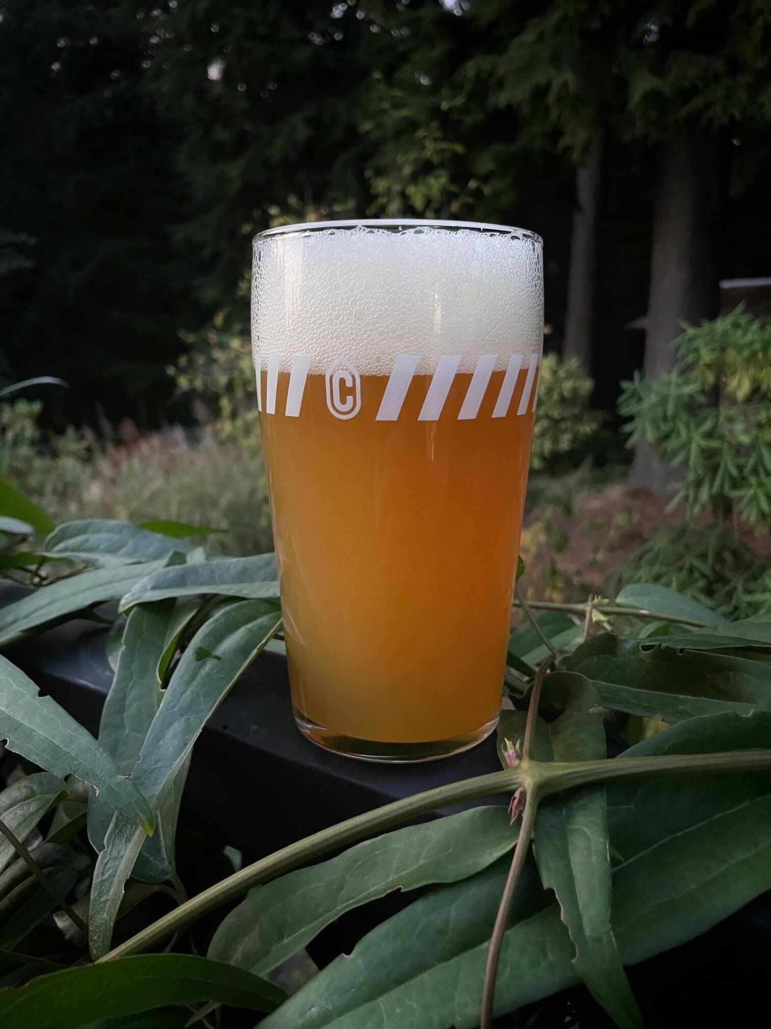 Container Fresh Coast