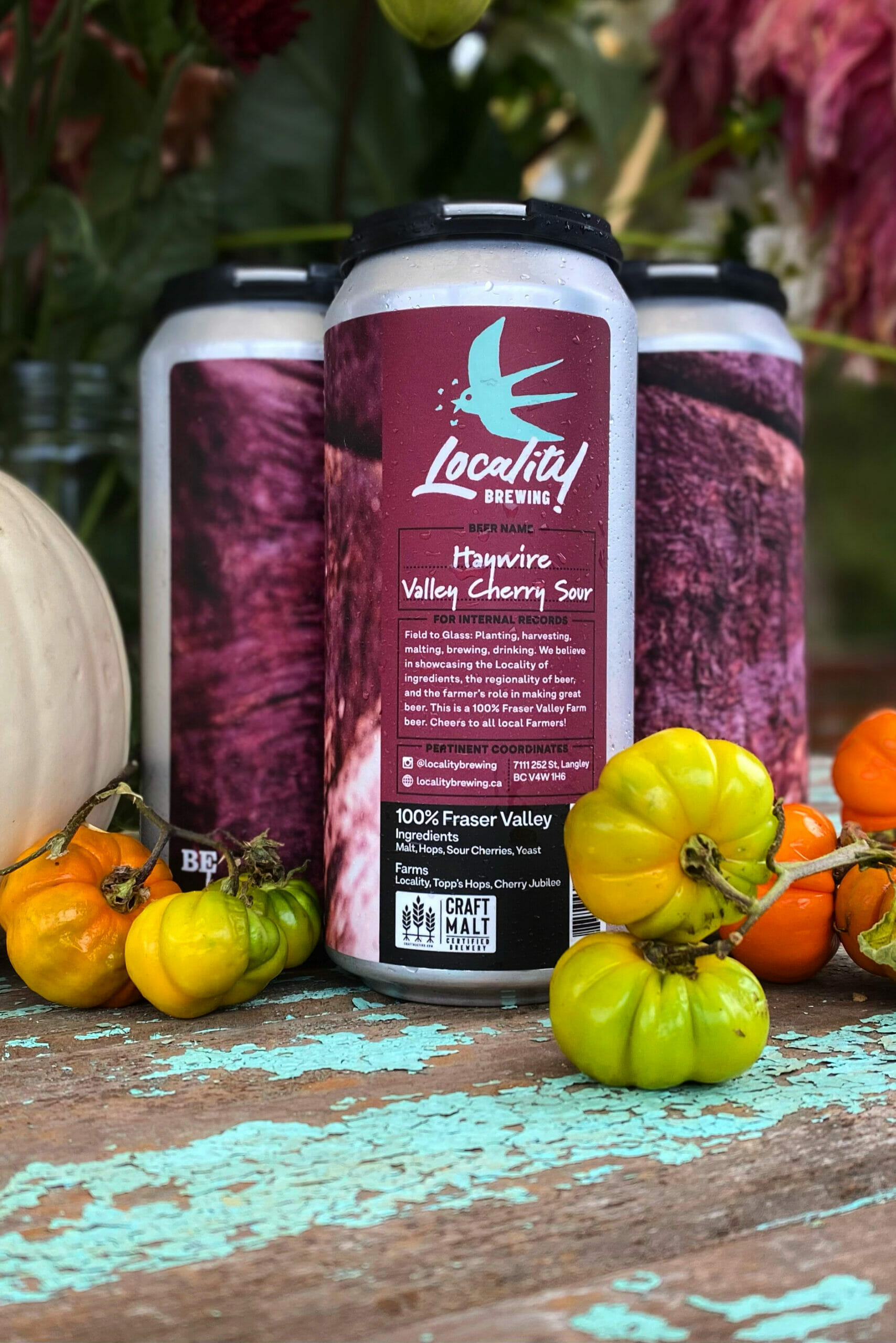 Haywire Valley Cherry Sour - Locality Brewing