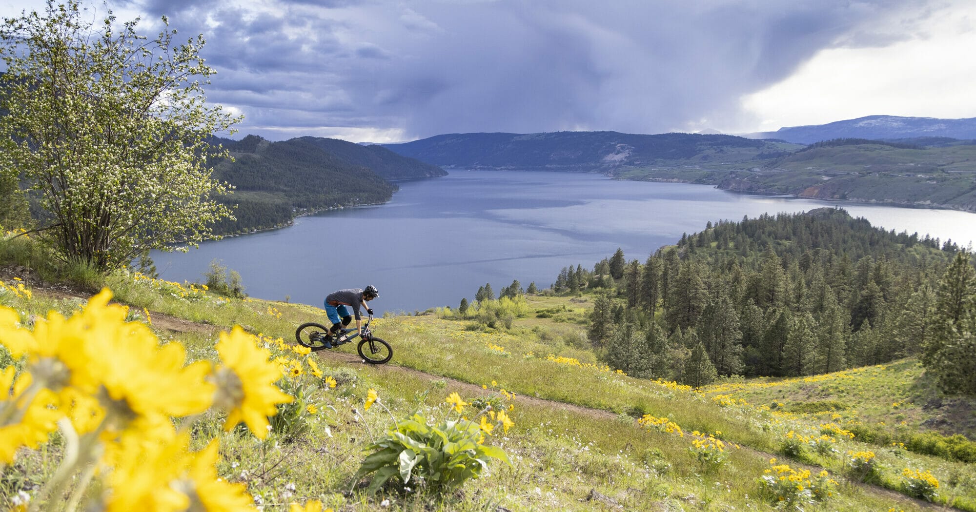 Mountain Biking and Craft Beer: Vernon and Shuswap, BC