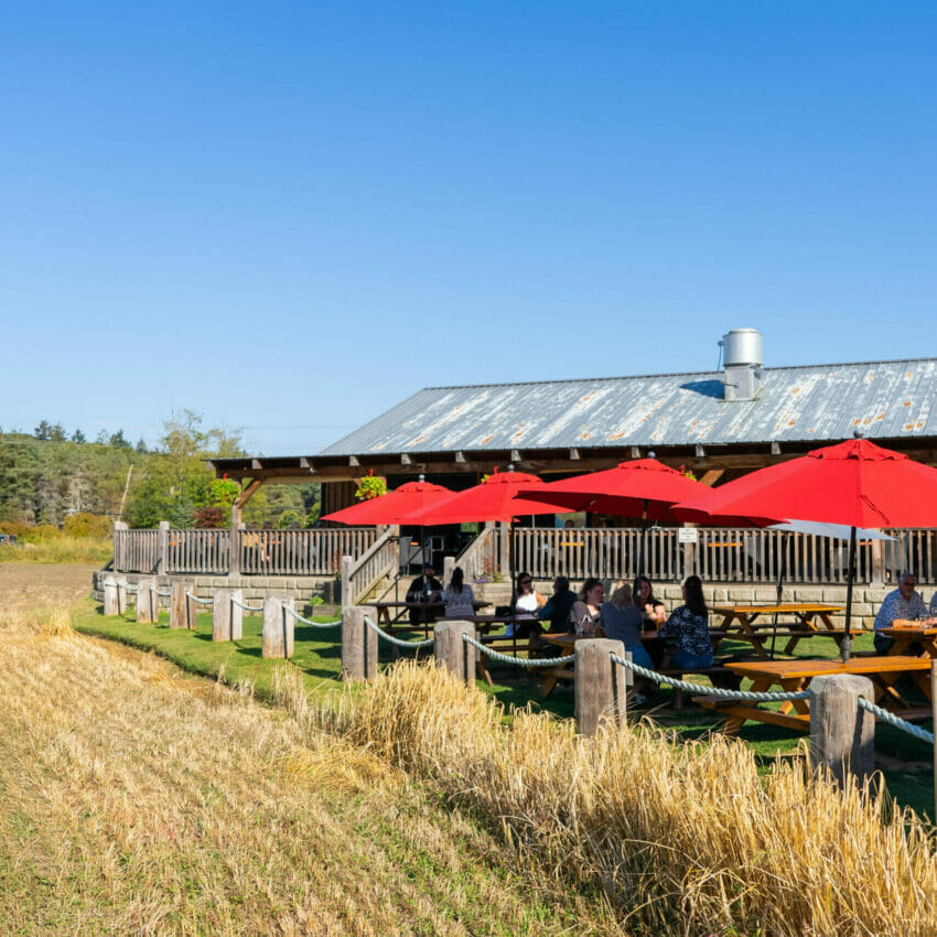 The farm-side outdoor patio at Rusted Rake Brewing in Nanoose Bay, BC