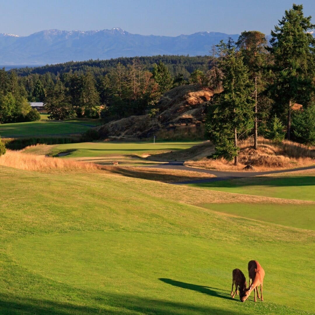Highland Pacific Golf in Victoria, BC