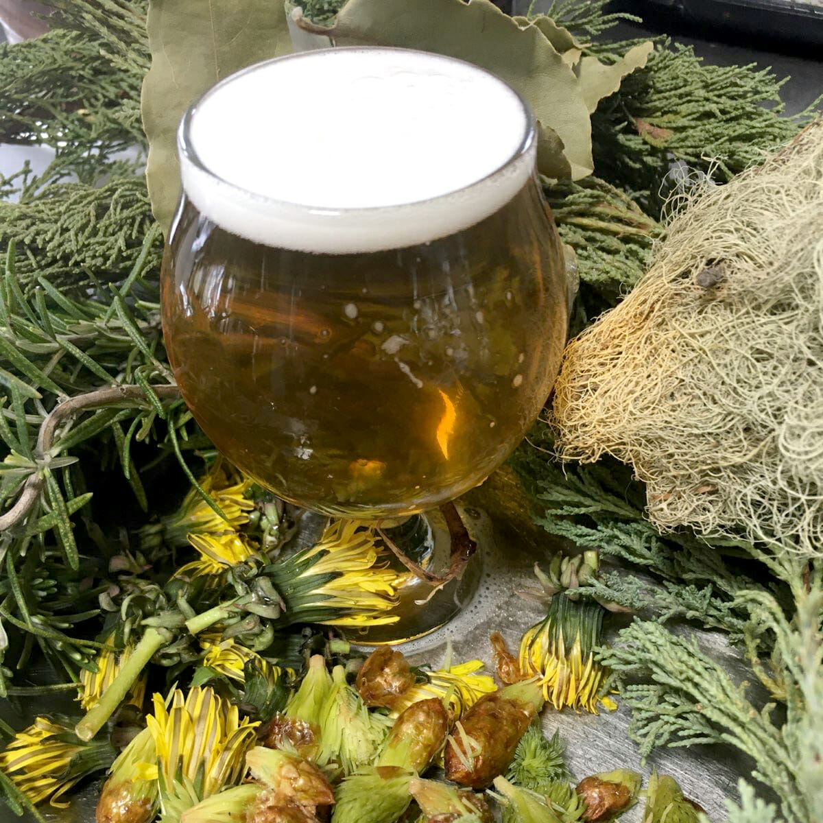 Spring Gruit by Howl Brewing in Sidney