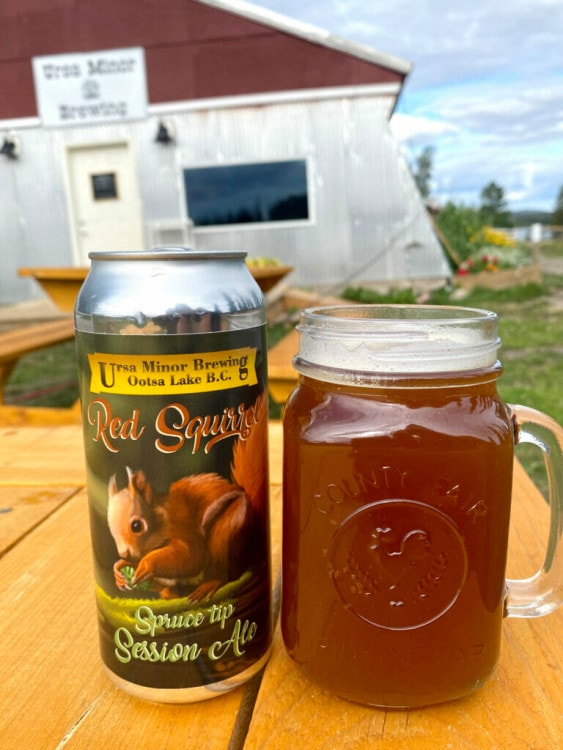 Red Squirrel Spruce Tip Session Ale by Ursa Minor Brewing 