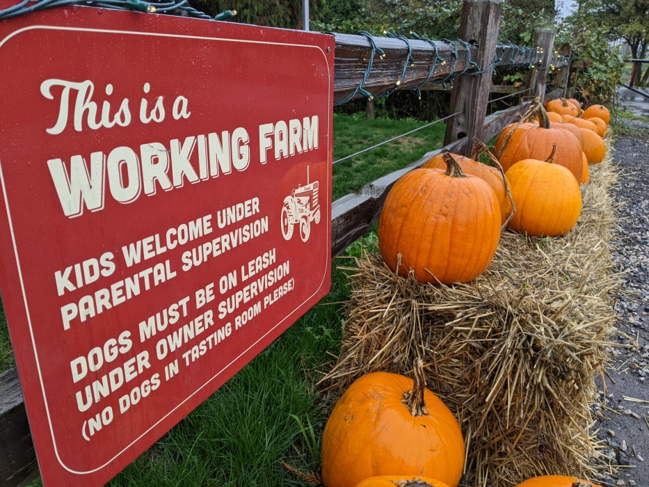 A "working farm" sign at Barnside Brewing in Ladner, BC