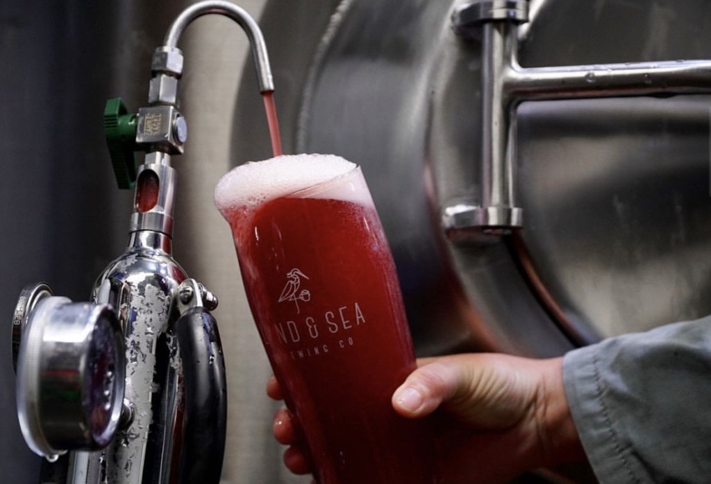 A sour beer from Land & Sea Brewing with local foraged fruit from Land and Sea Brewing, photo by Kent Bernadet