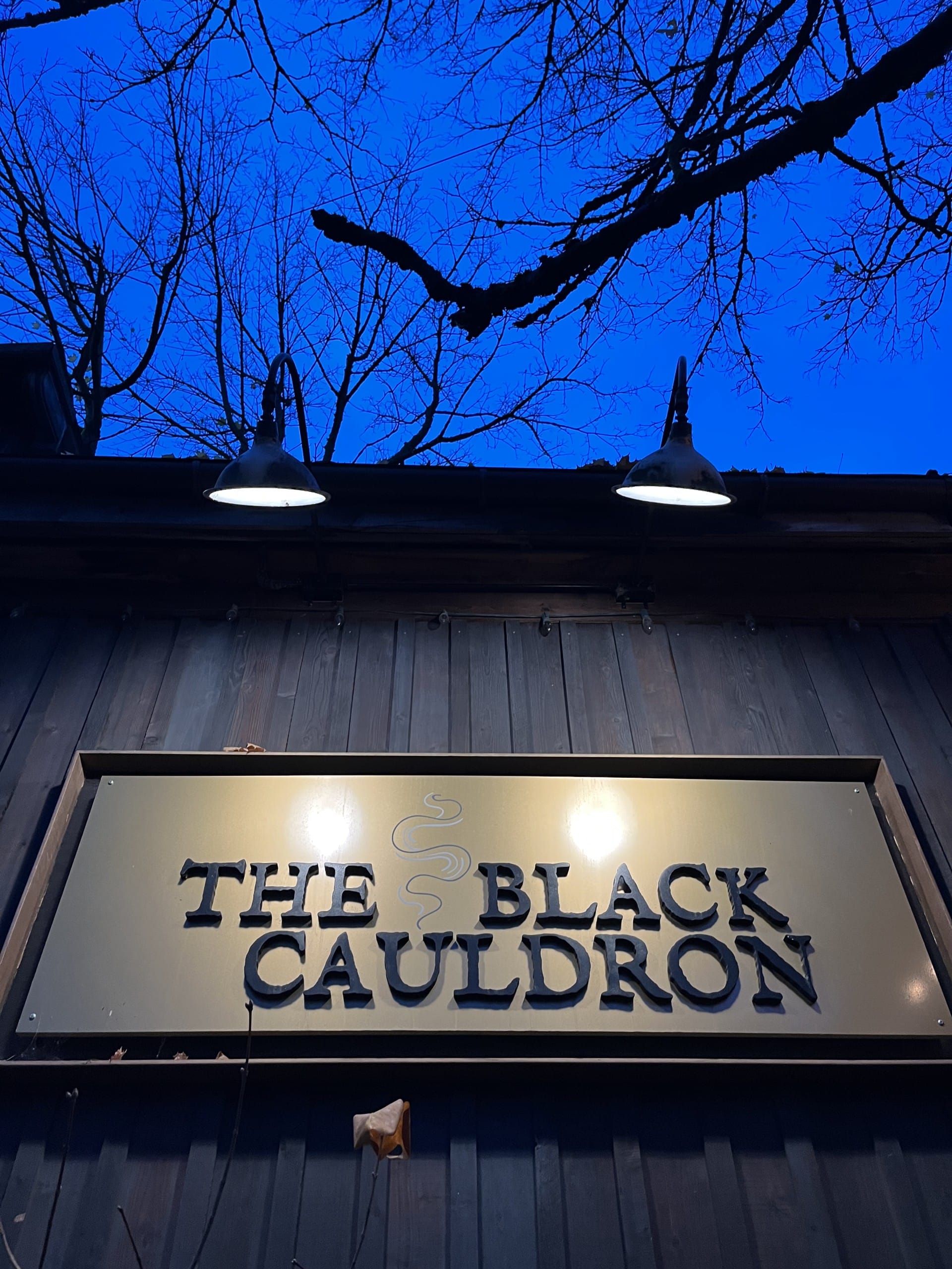 The Black Cauldron - Nelson, BC