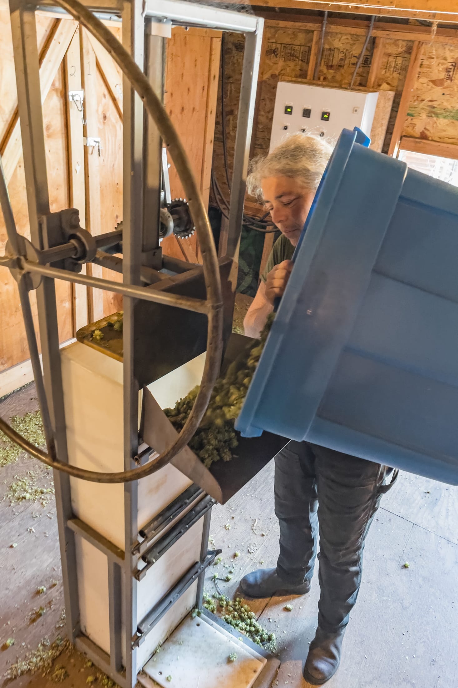 Rebecca Kneen pouring hops into the bailing press at Crannóg Ales