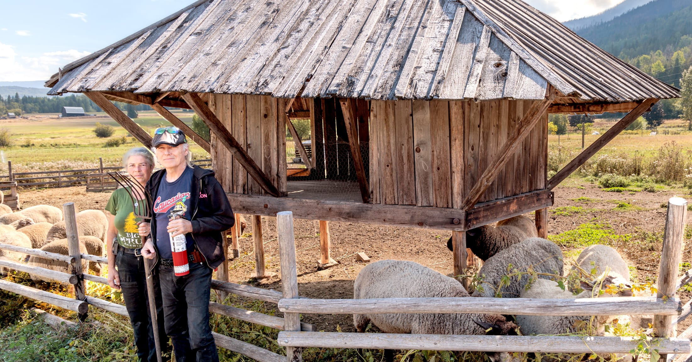 A Visit to Crannóg Ales