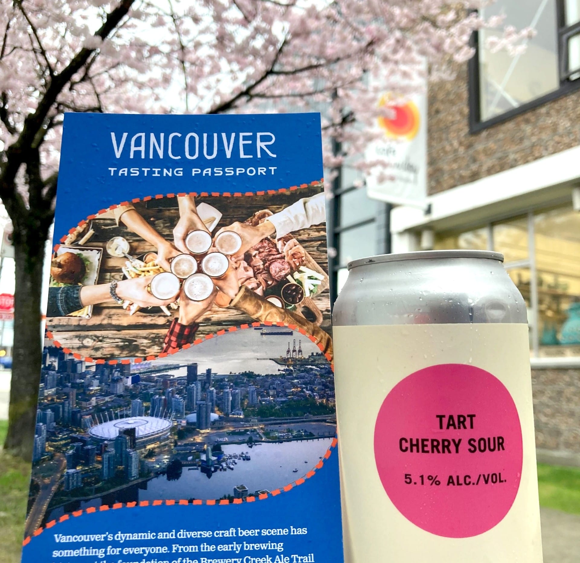 the Vancouver Tasting Passport next to a can of craft beerfrom Brewing August in front of blooming cherry blossoms in Vancovuer