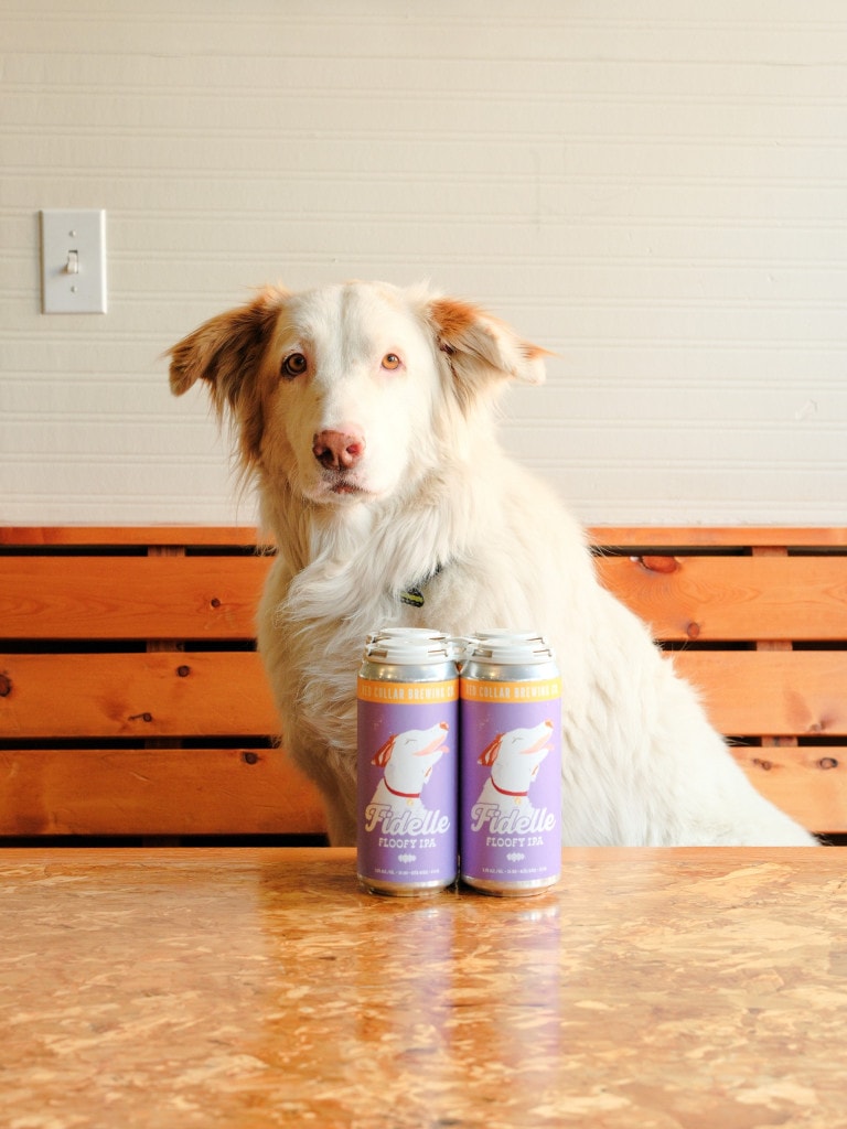 Fidelle "Floofy" IPA - Red Collar Brewing