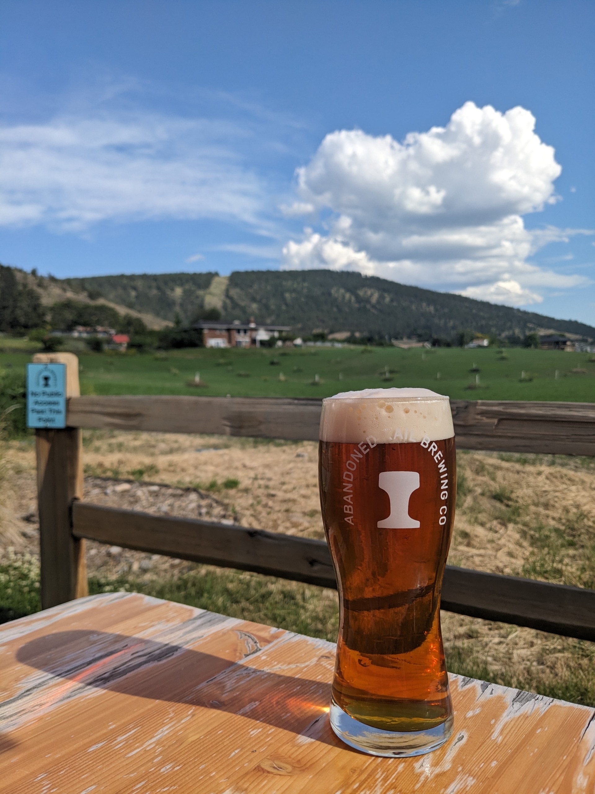 a pint of perfectly poured craft beer overlooking the green barley fields Abandoned Rail Brewing in Penticton, BC