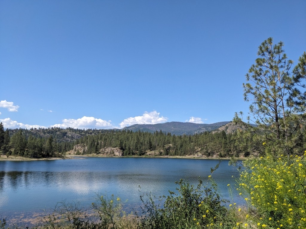 lake views in the South Okanagan of BC
