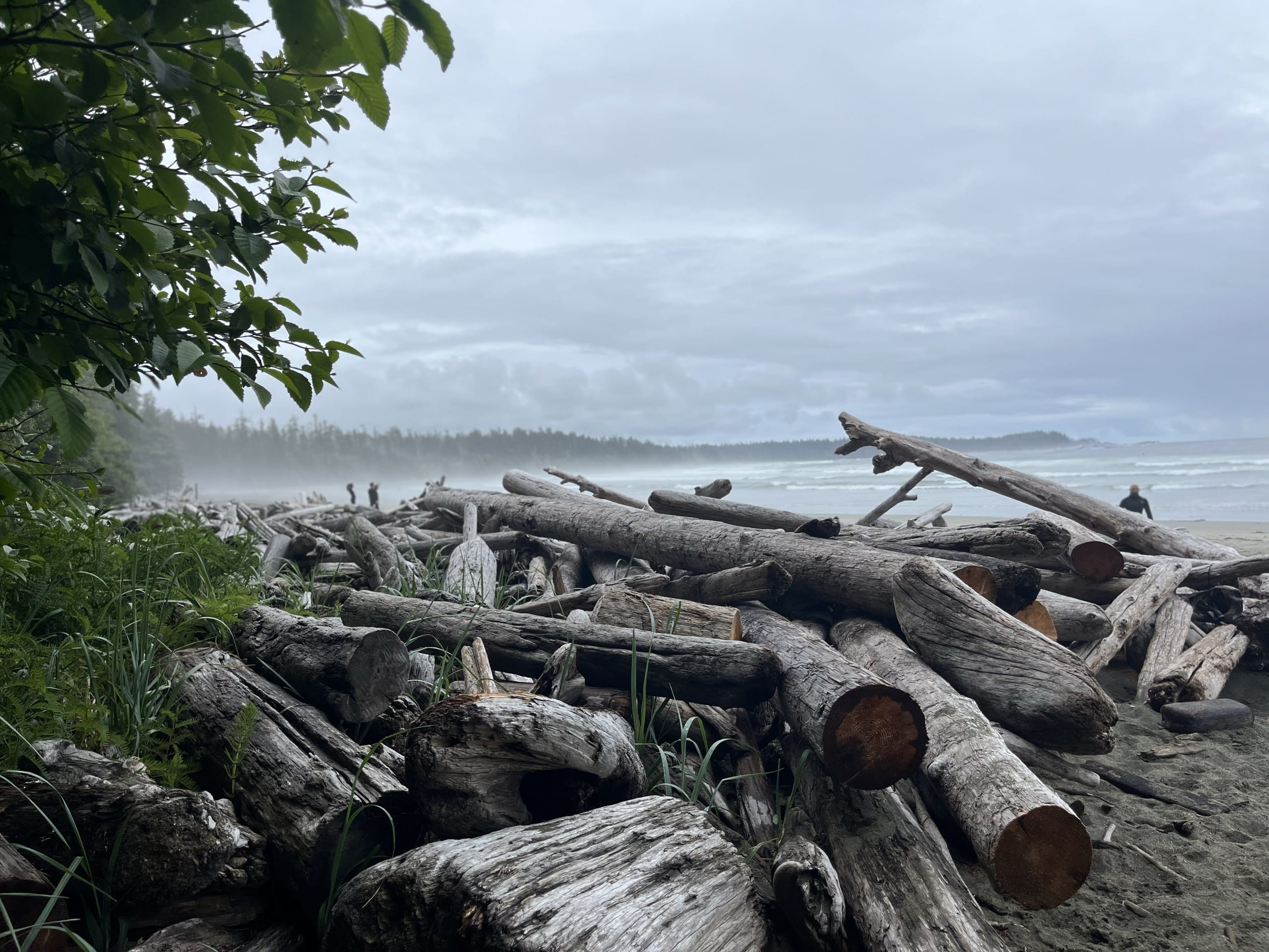 a pile of driftwood on the beach at Florencia Bay in Ucluelet, BC