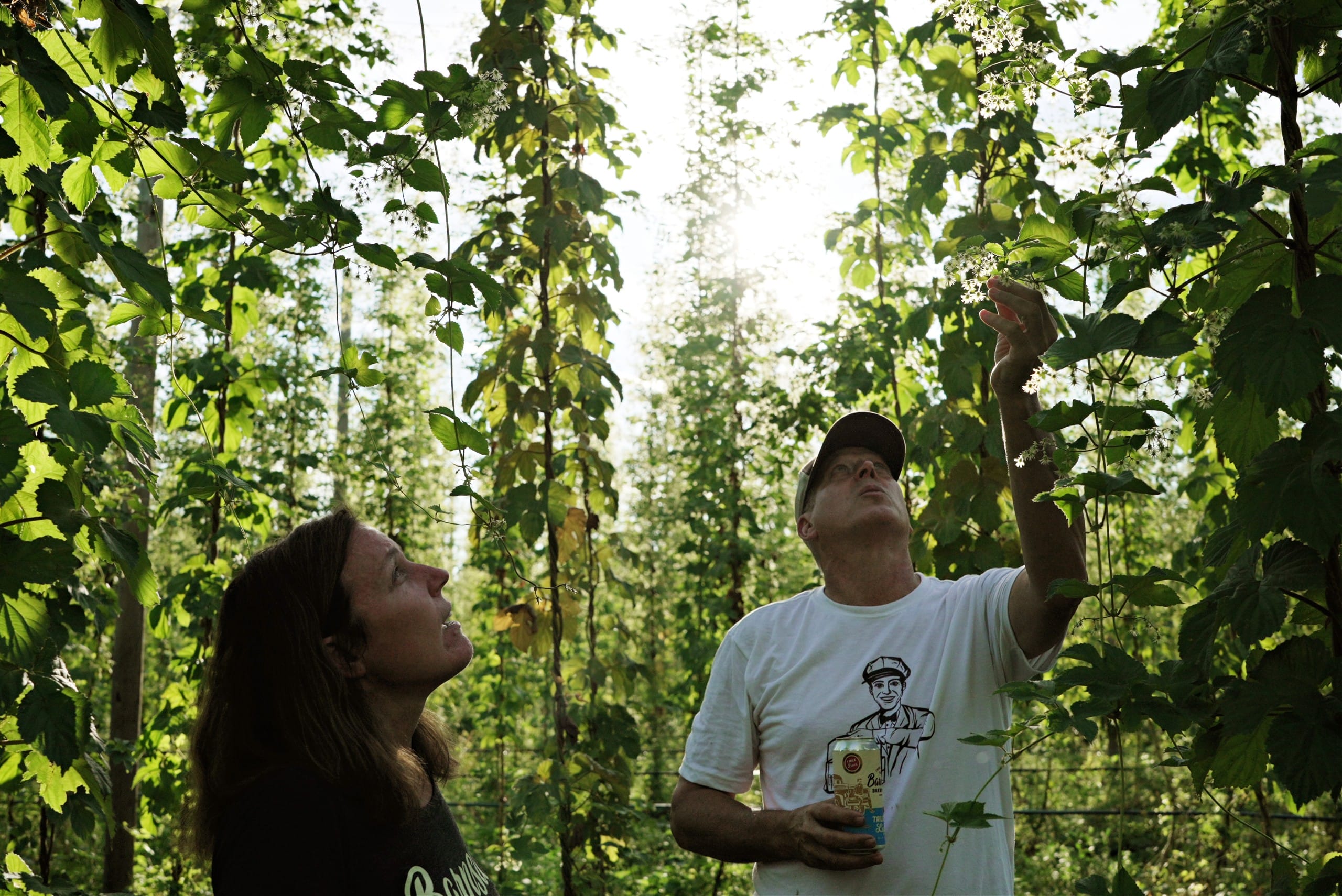 Autumnal Ales, Fresh Hop IPAs & Oktoberfest Lagers