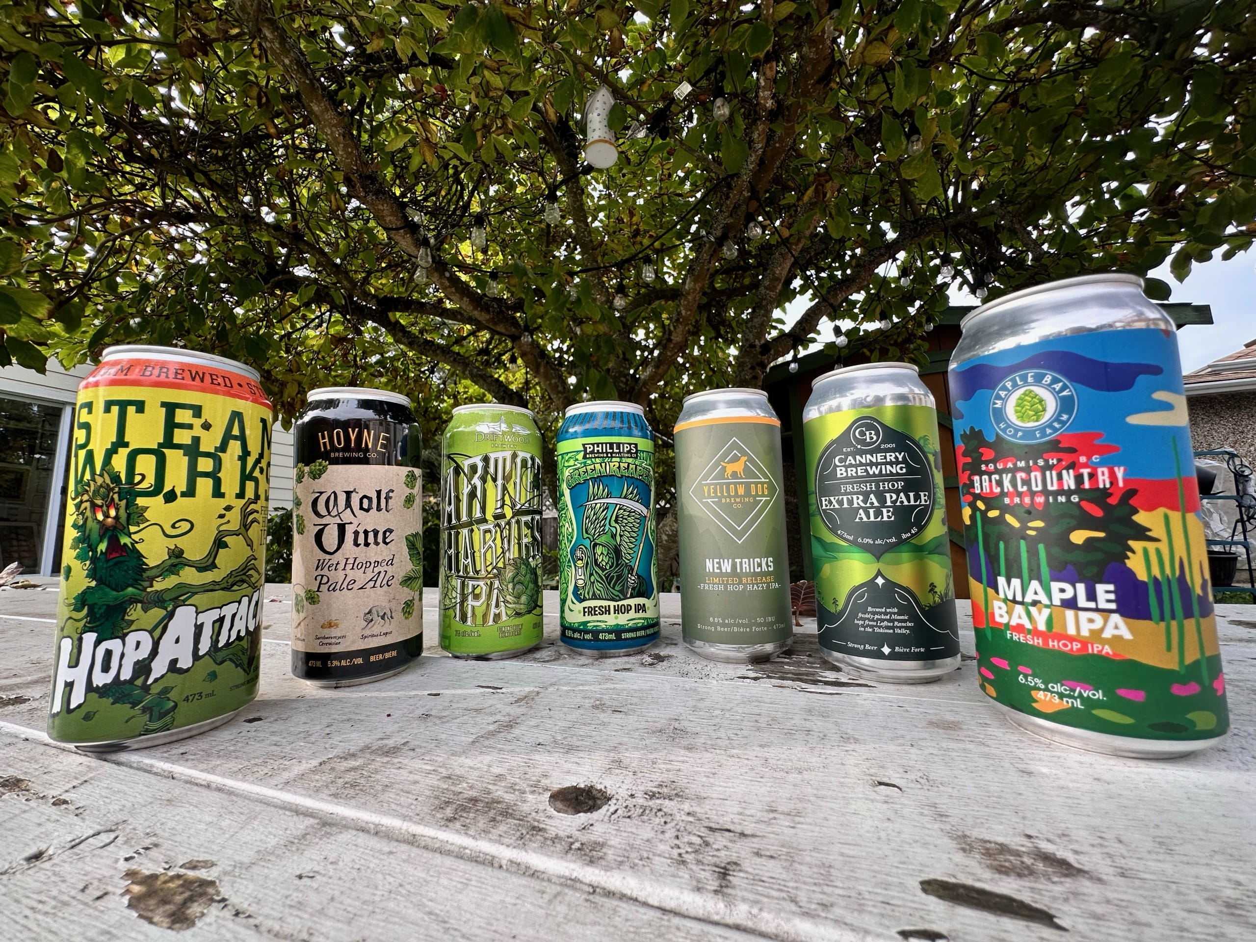 Hop to It: Your Guide to B.C.'s Fleeting Fresh Hop Beer Season