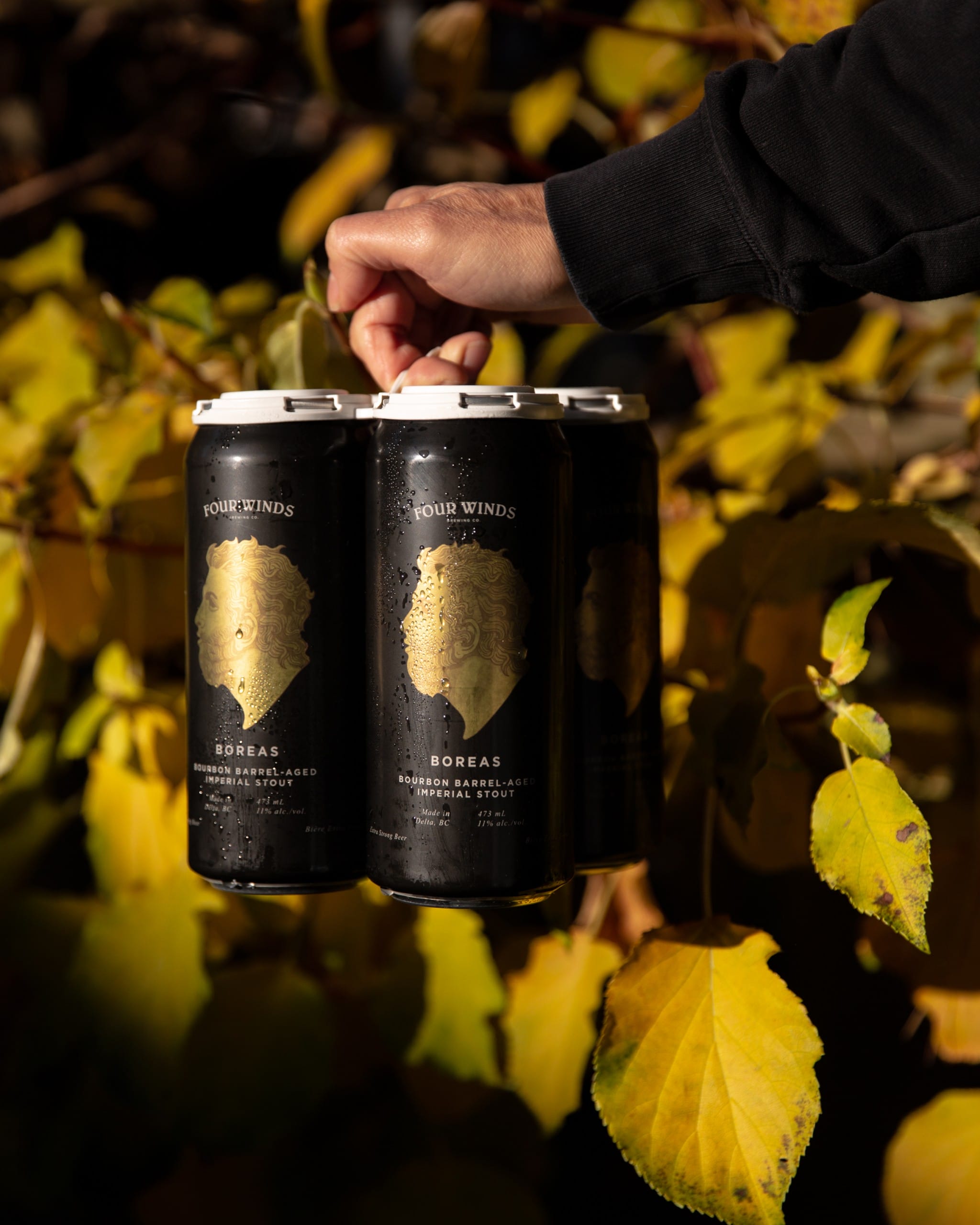 Boreas (2024) from Four Winds Brewing Co in Delta, BC