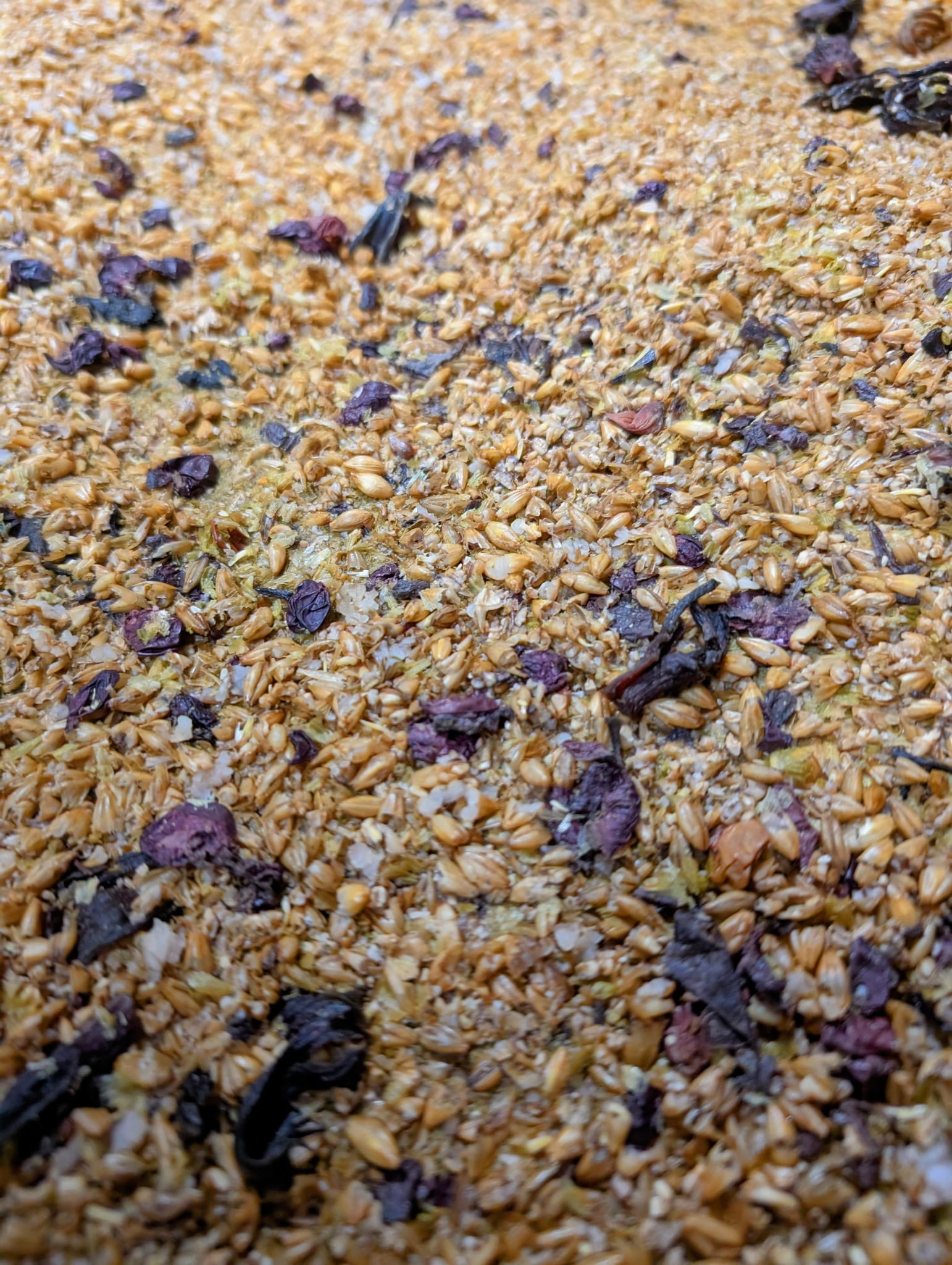 Grape skins in the mash during brewing at Tin Whistle Brewing Co in Penticton, BC
