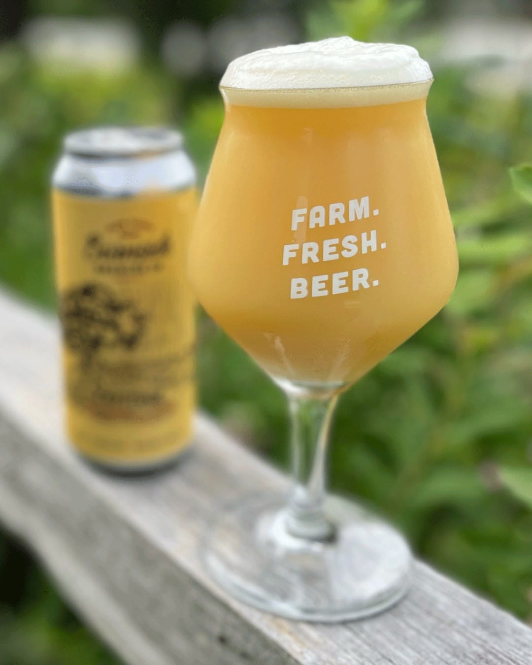 Latitude NZ Hazy IPA from Barnside Brewing in Delta, BC