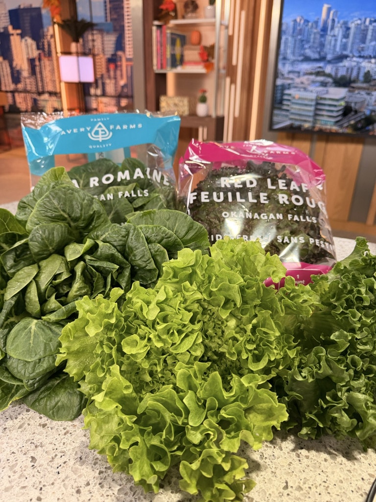 Fresh lettuces from Avery Family Farms in BC's Okanagan (photo: Ned Bell Culinary)