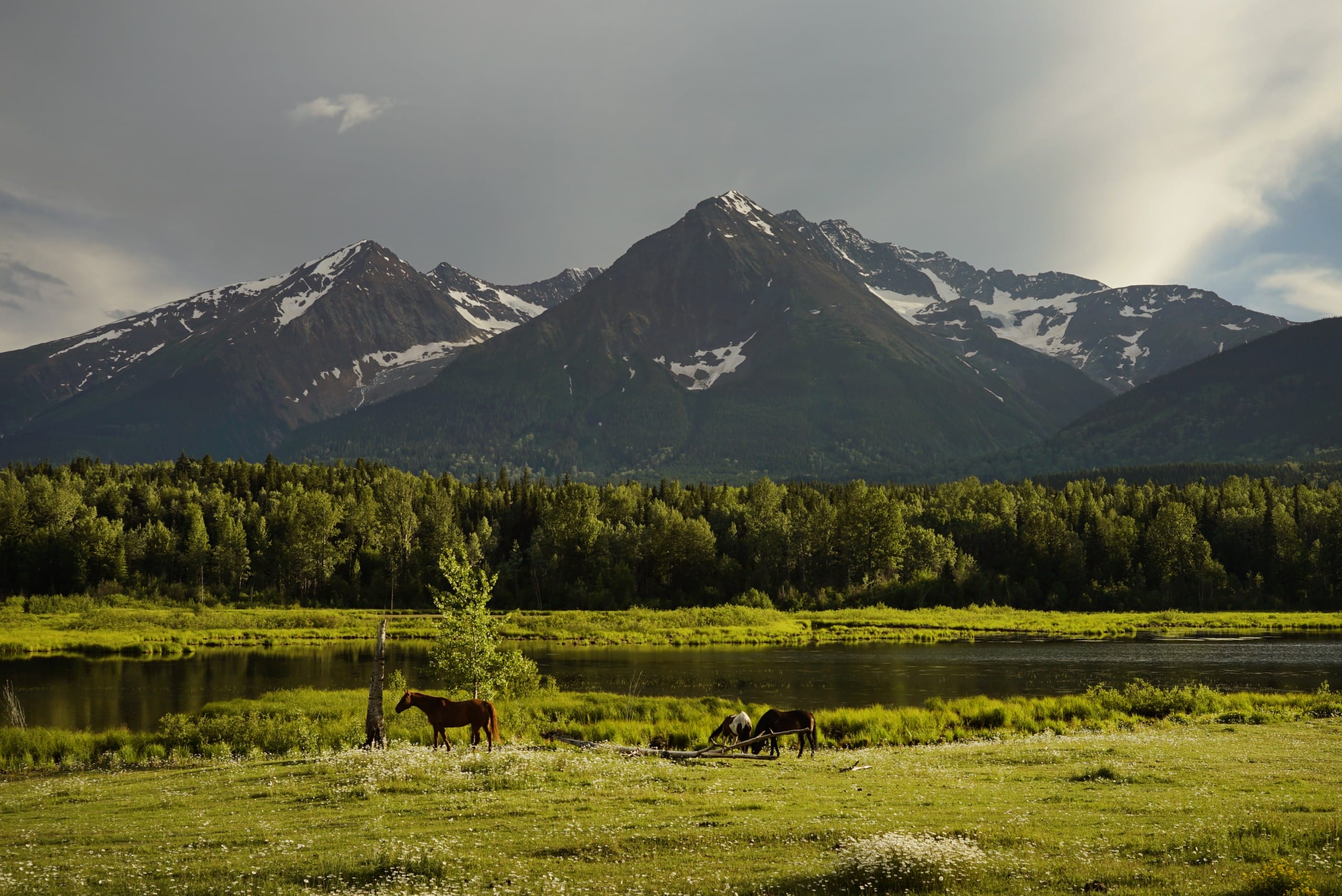 Hudson Bay Mountain in Smithers, BC