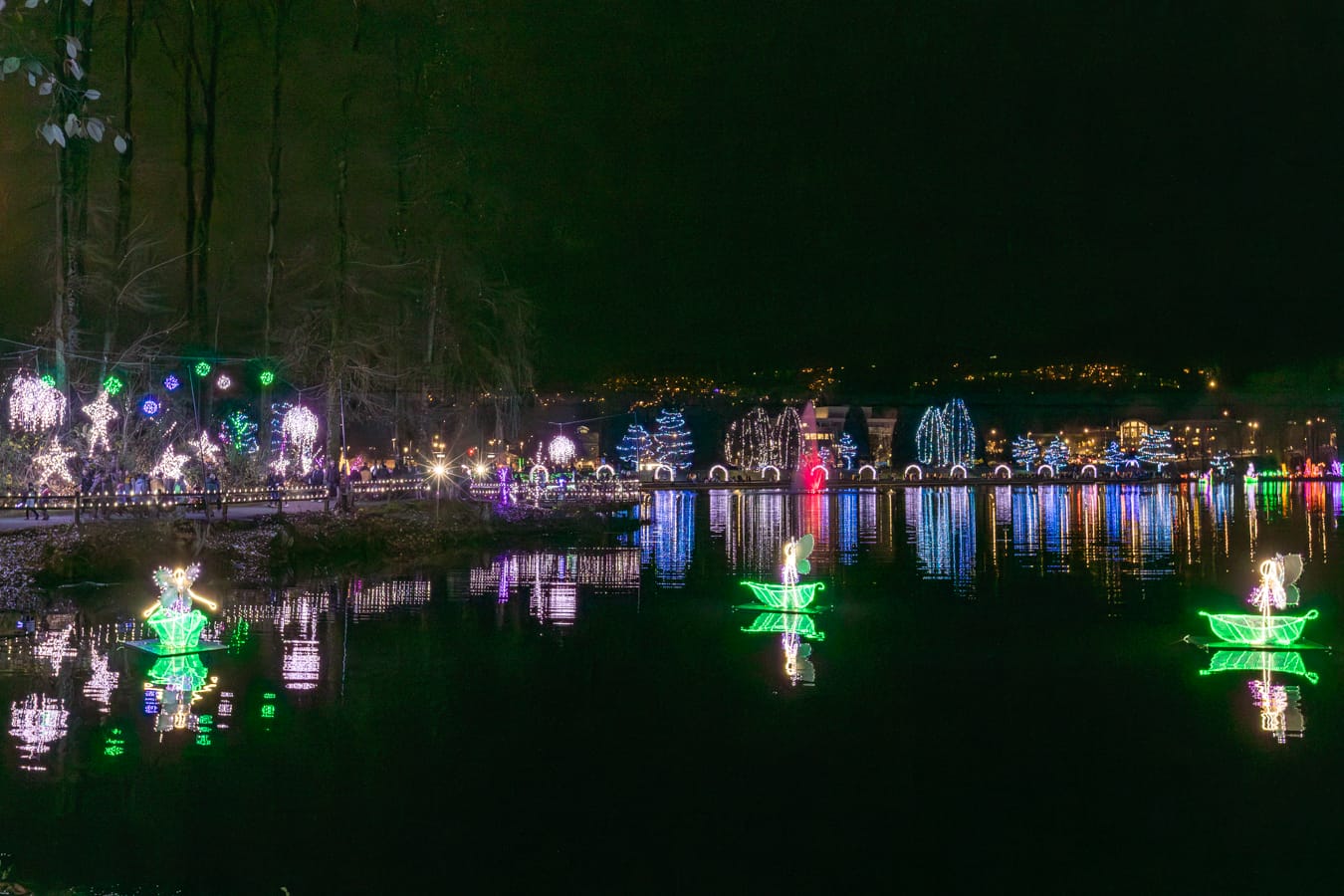 Lights at Lafarge in Coquitlam, BC (photo: Nick Nicholson)