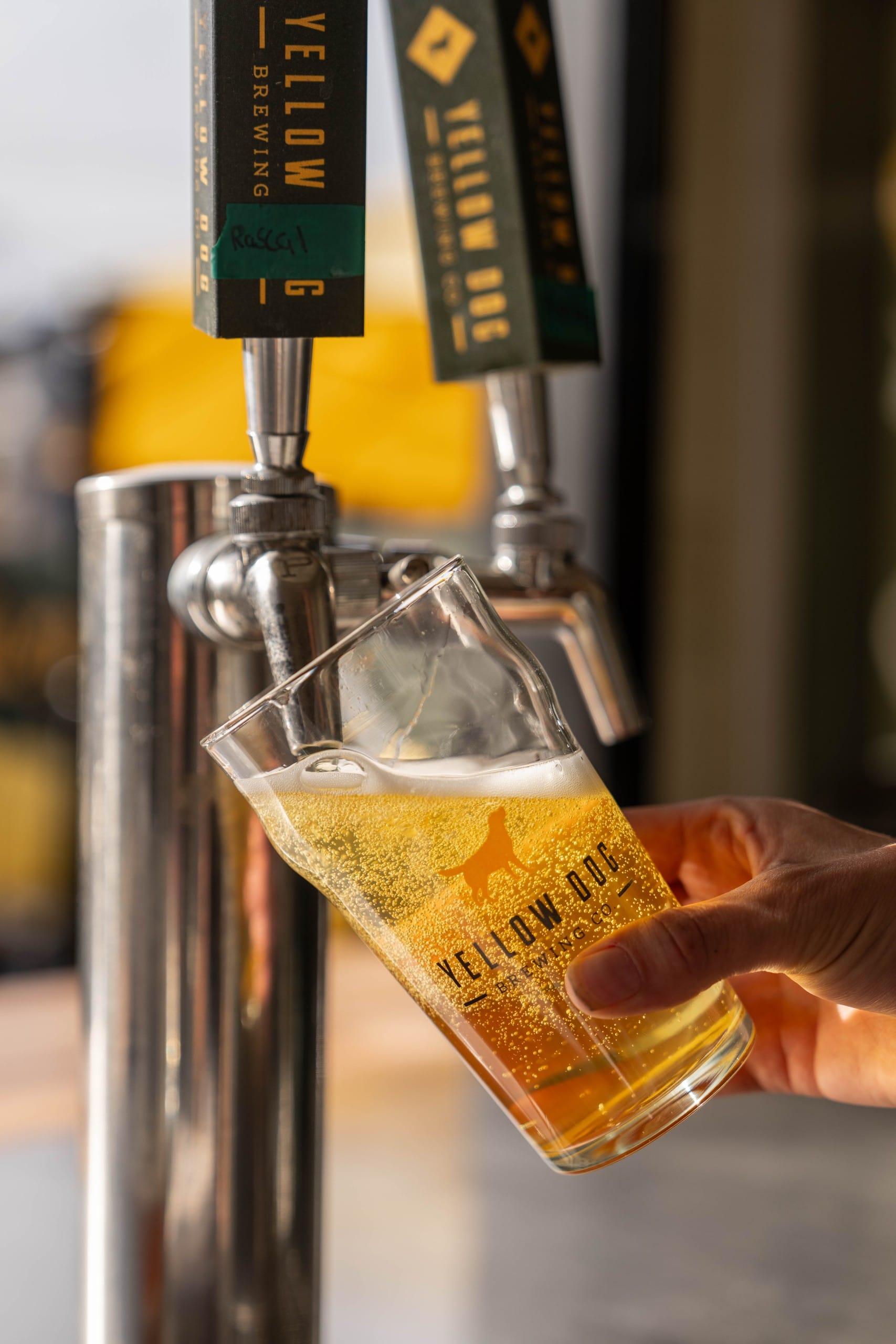 Yellow Dog Brewing in Penticton, BC