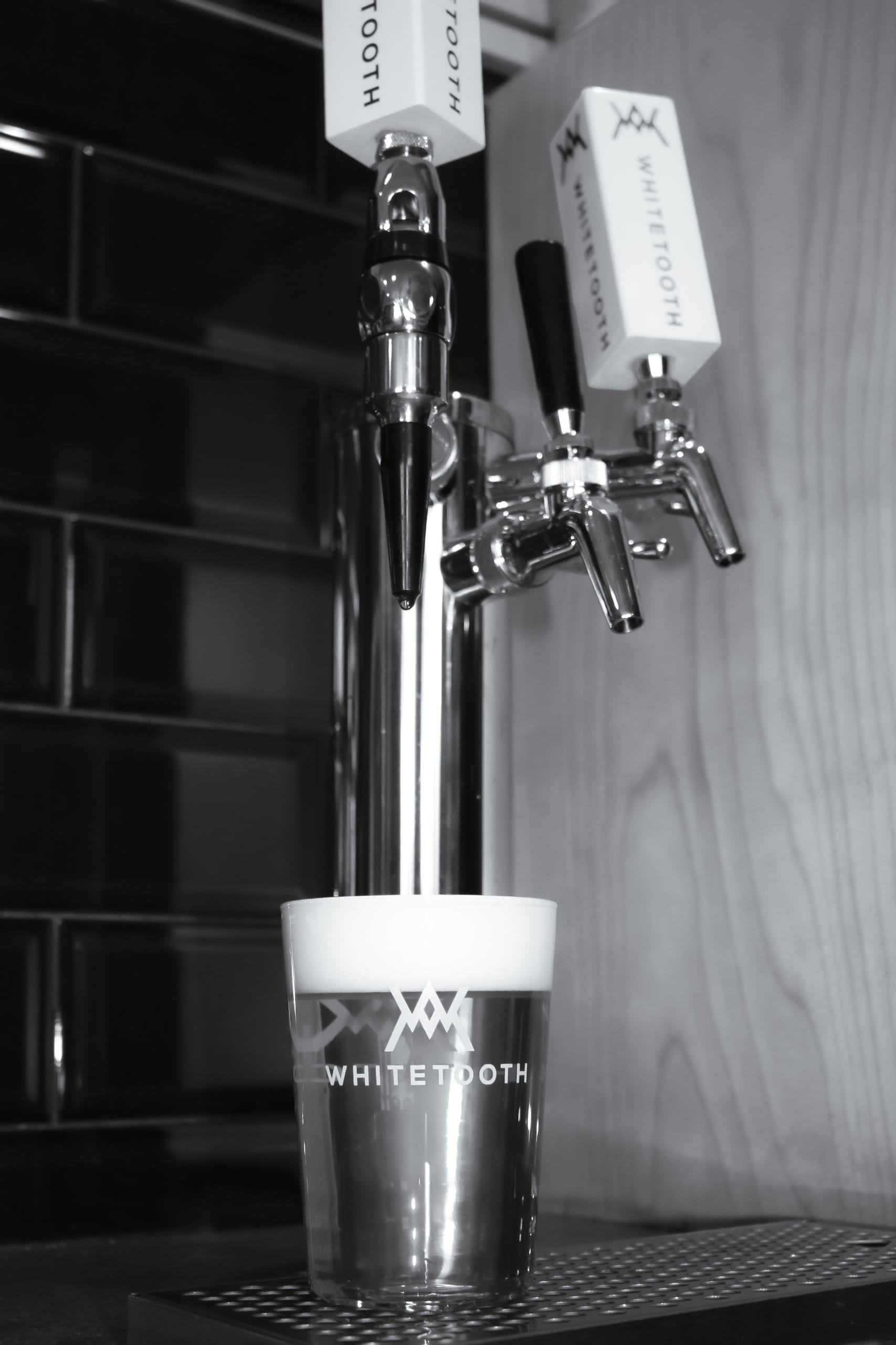 a black and white photo of a freshly poured pint of craft beer at Whitetooth Brewing in Golden, BC