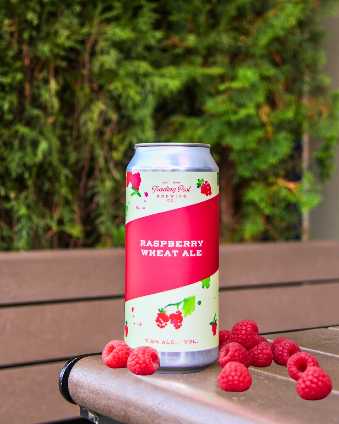 Raspberry Wheat Ale from Trading Post Brewing in Langley (photo provided)
